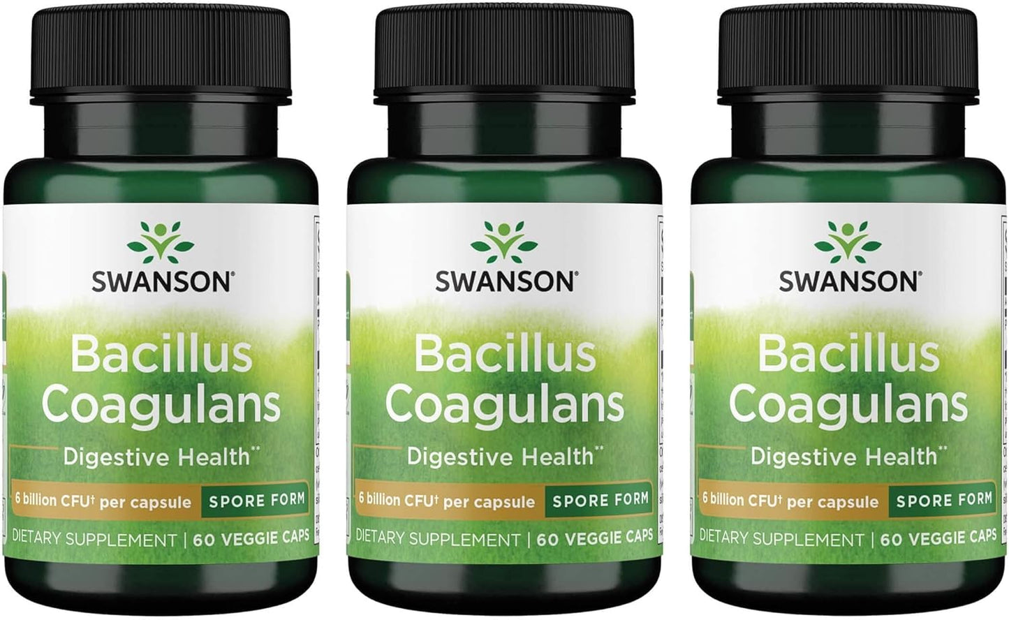 Swanson Bacillus Coagulans Probiotic Supplement - 6 Billion CFU for Digestive & Gut Health - 60 Veg Caps