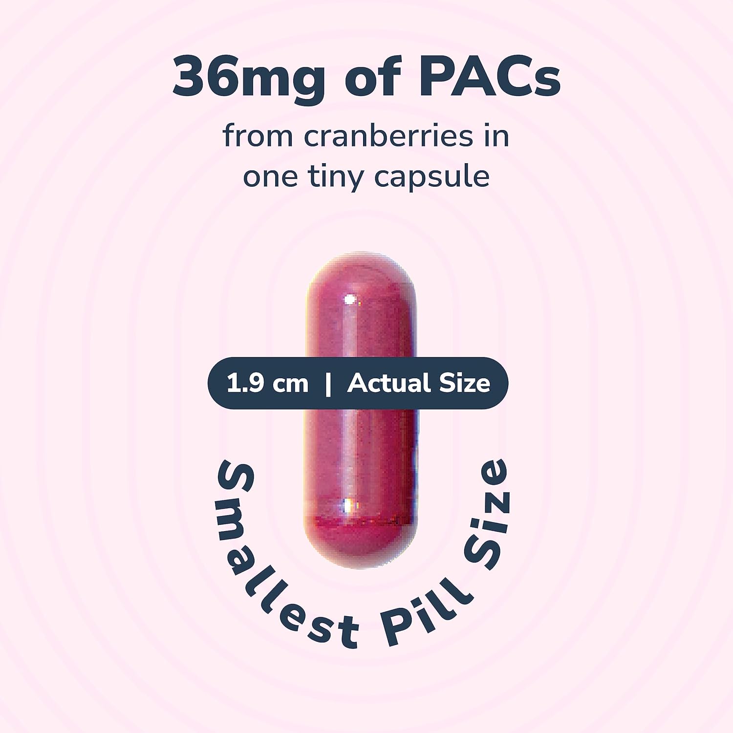 Szio+ 10% Bundle Utiva 36PAC Power Bundle - 30 Days Supply - Cranberry PACs & Probiotics - Locally Produced