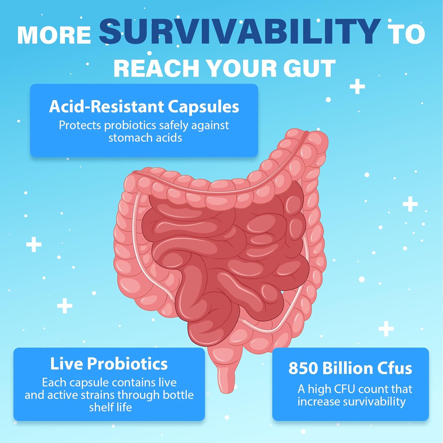 Tailored Wellness Men's Probiotics 50+ with 850 Billion CFU, 1800mg Prebiotics Fiber - Comprehensive Gut & Energy Support, 720 Capsules