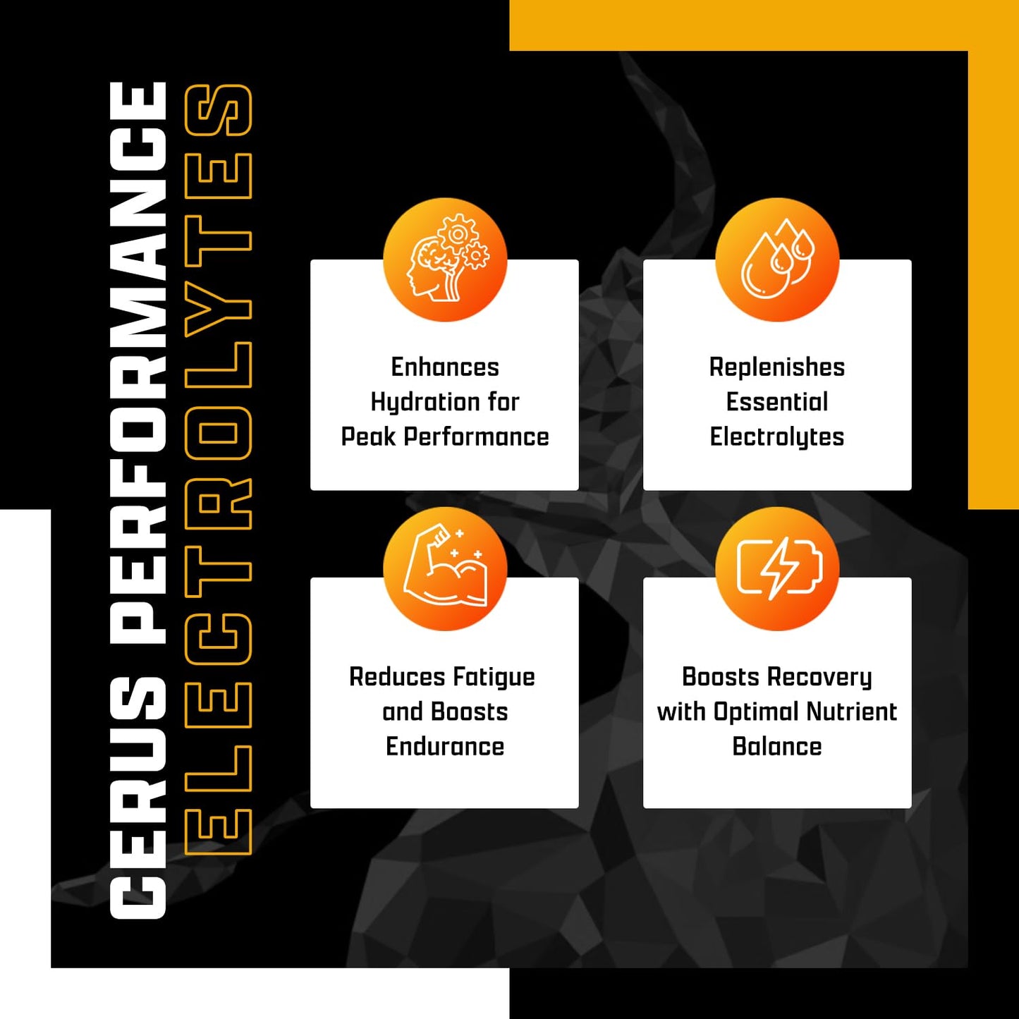 Tangerine Flavor Electrolyte Powder for Endurance & Recovery - 30 Servings, Zero Sugar, Coconut Water & Real Fruit