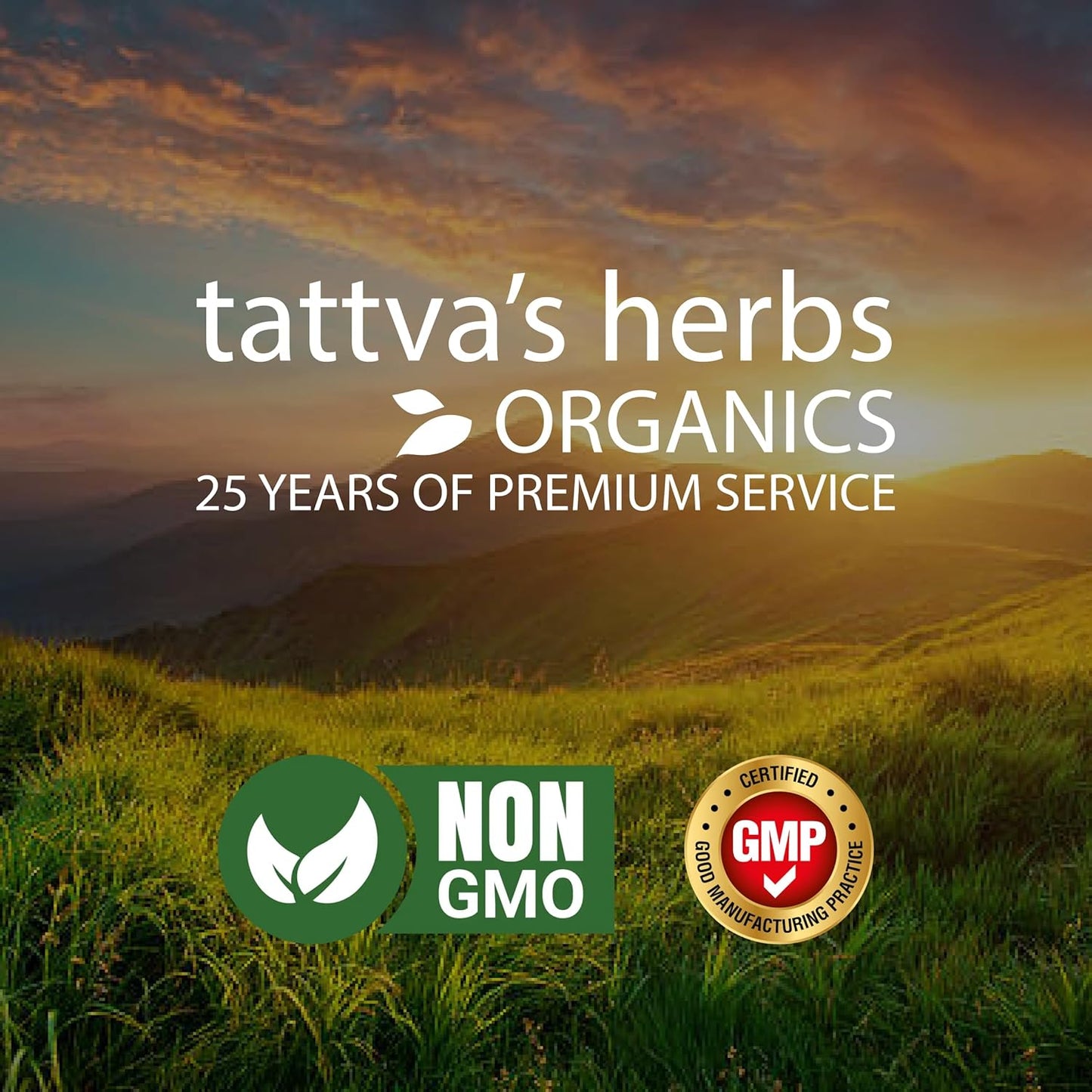 Tattva's Herbs Ashwagandha Supplements for Mood Support, Relaxation - 240 Count x 2 Pack, Herbal Powder Formula, 25 Years of Quality Service - BoostGo Australia