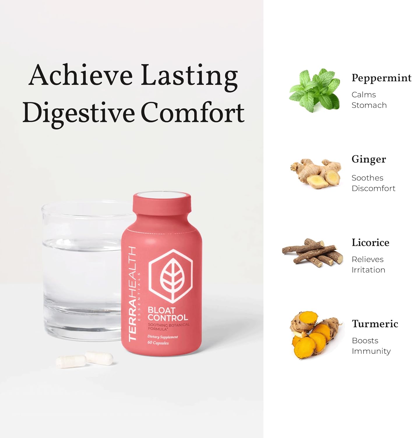 Terra Health Essentials Bloat Control | Fast Relief with Digestive Enzymes & Probiotics for Anti-Bloat Support
