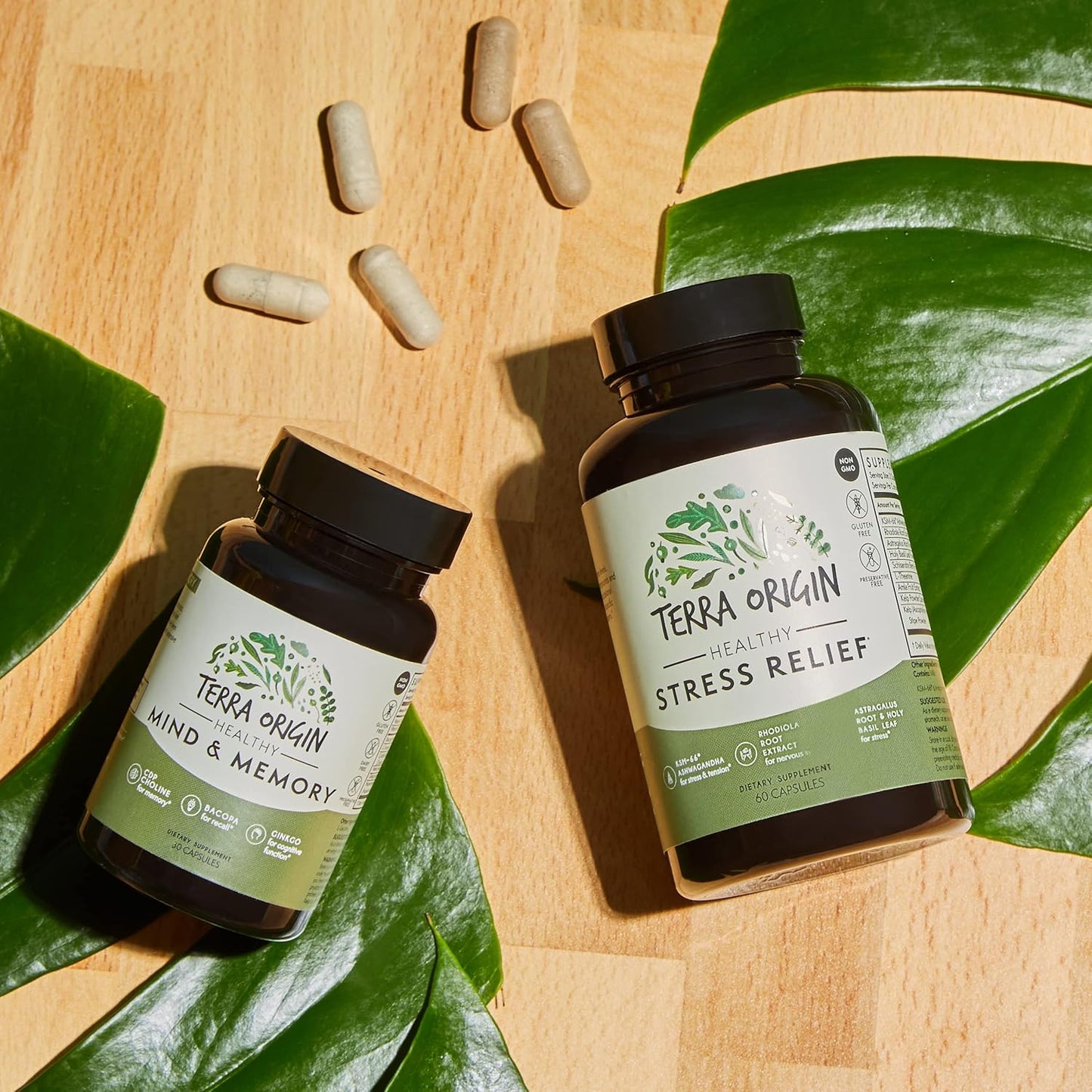 TERRA ORIGIN Cognitive Support Nootropic Formula with CDP Choline, Bacopa, L-Tyrosine, Huperzine A, Ginko, B12 - 30 Veggie Capsules