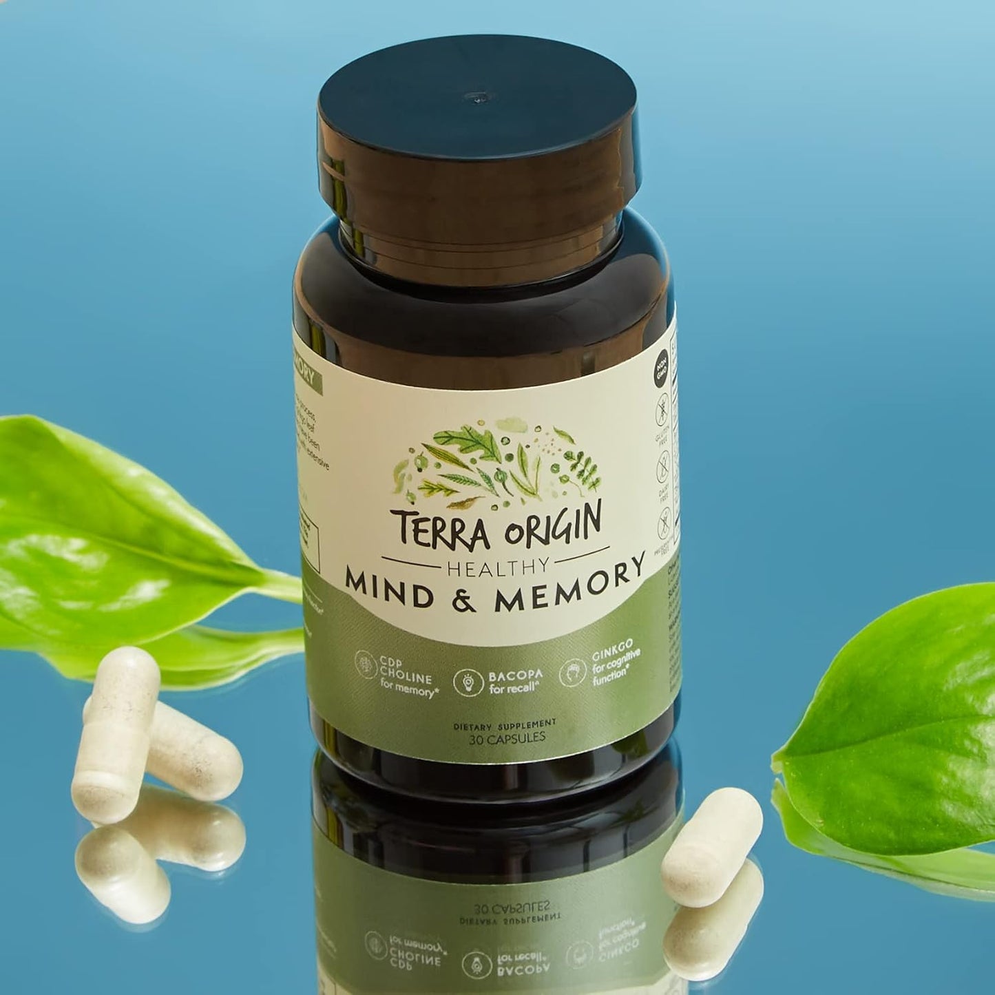 TERRA ORIGIN Cognitive Support Nootropic Formula with CDP Choline, Bacopa, L-Tyrosine, Huperzine A, Ginko, B12 - 30 Veggie Capsules