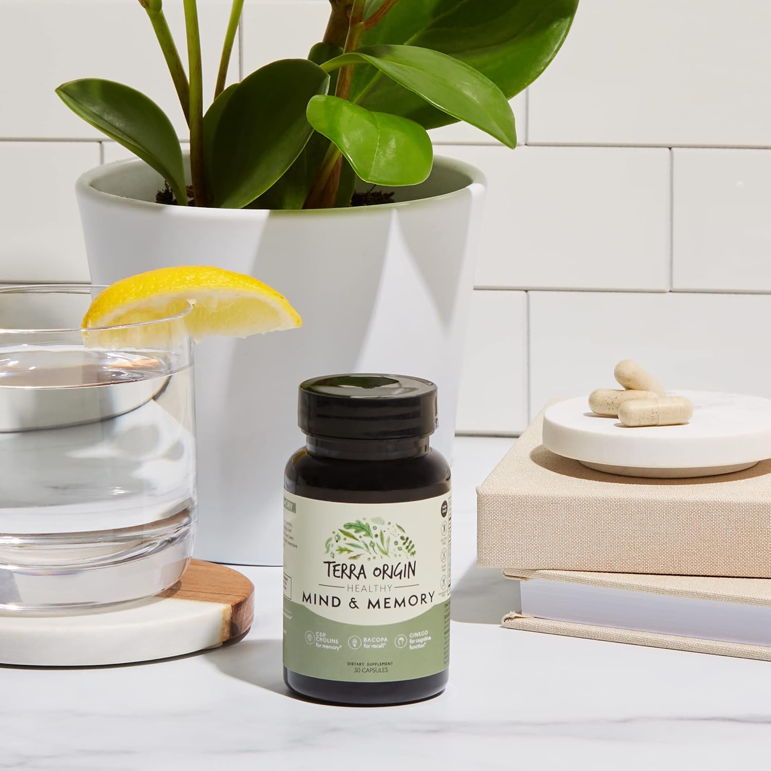 TERRA ORIGIN Cognitive Support Nootropic Formula with CDP Choline, Bacopa, L-Tyrosine, Huperzine A, Ginko, B12 - 30 Veggie Capsules