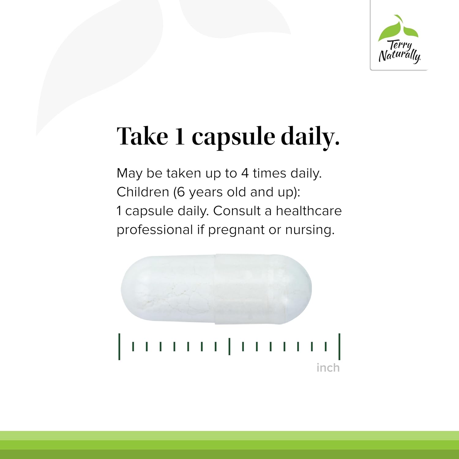 Terry Naturally BioActive Magnesium Complex Capsules - 60 Servings with Vitamin B6 & Zinc - Non-GMO, Vegan, Gluten Free, Kosher