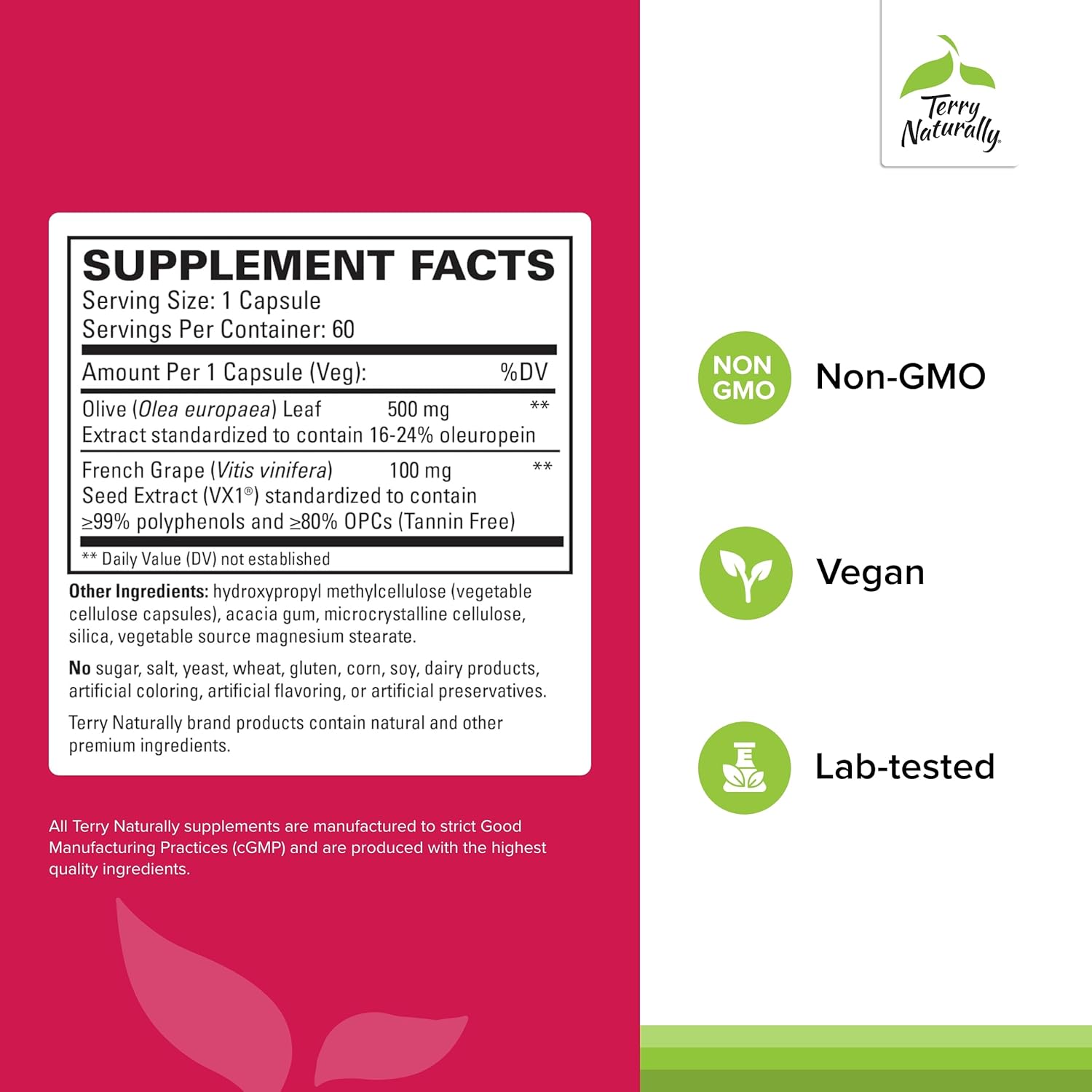 Terry Naturally Blood Pressure Health Capsules - Supports Healthy Circulation & BP - Vegan, Non-GMO - 60 Servings