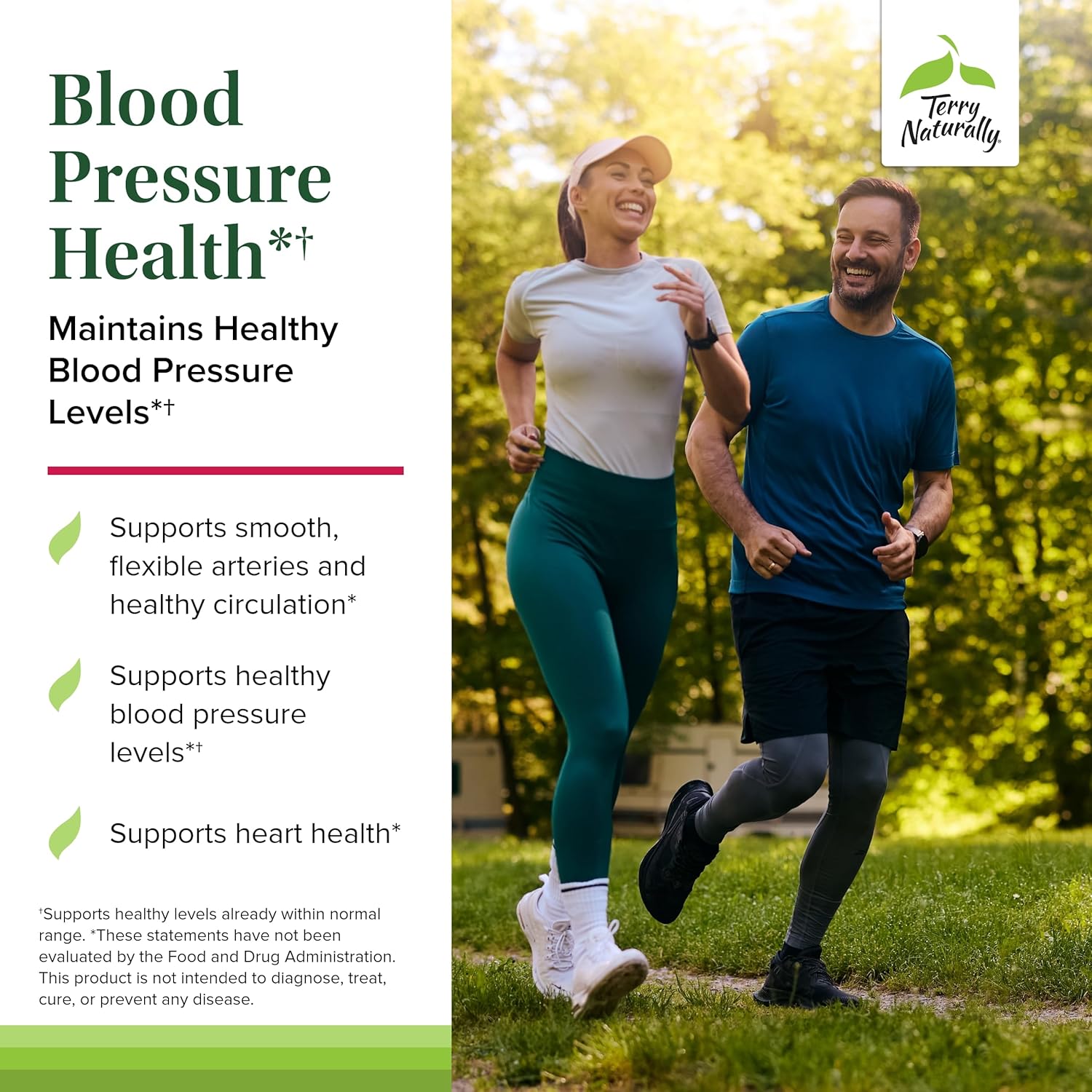 Terry Naturally Blood Pressure Health Capsules - Supports Healthy Circulation & BP - Vegan, Non-GMO - 60 Servings