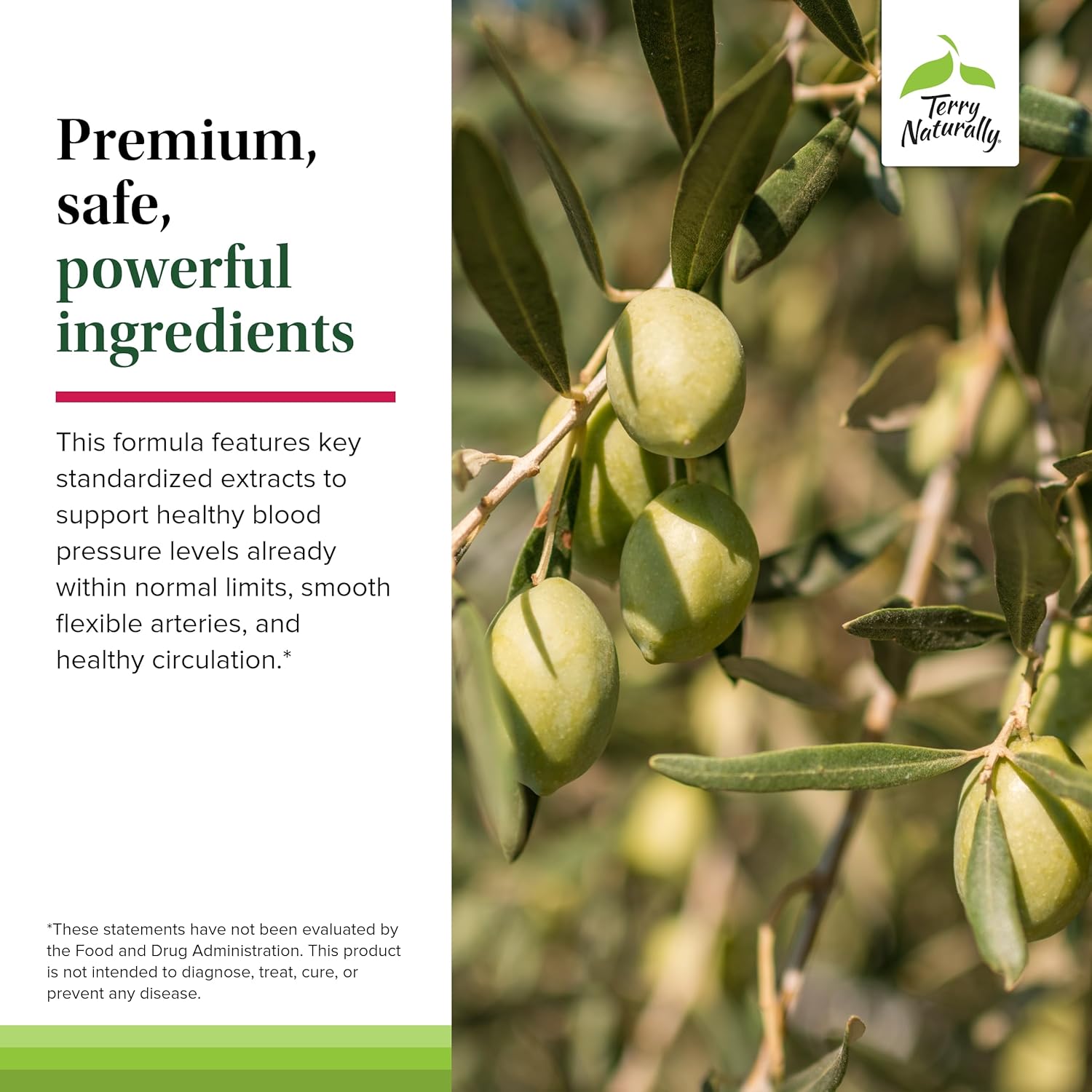 Terry Naturally Blood Pressure Health Capsules - Supports Healthy Circulation & BP - Vegan, Non-GMO - 60 Servings