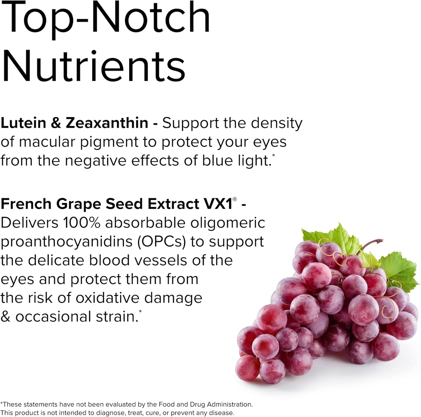 Terry Naturally Healthy Night Vision Capsules - Antioxidant Supplement for Eye Health, Macula Support with Zinc & Vitamin A