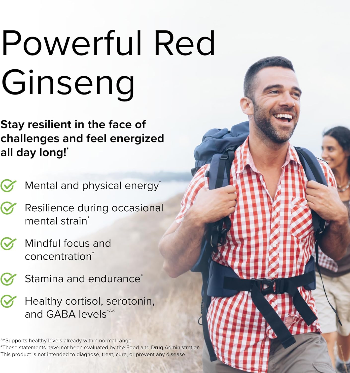 Terry Naturally HRG80 Red Ginseng Energy Capsules - 60 Servings, Pack of 2 - Non-GMO, Vegan, Gluten Free - Red Ginseng Root & Panax Ginseng