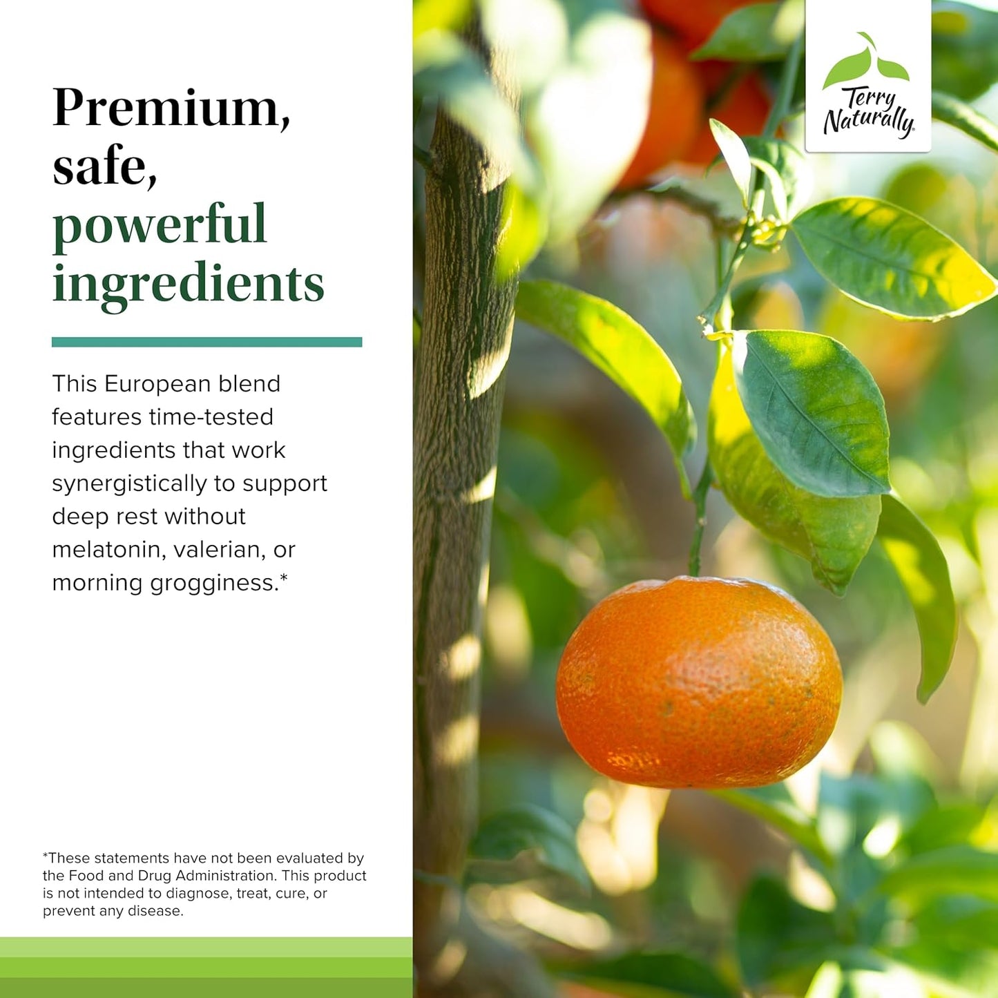 Terry Naturally Terrific Zzzz - Adult Sleep Supplement with Mandarin, Lemon Balm & Lavender - Non-GMO Relaxation Aid - 60 Softgels