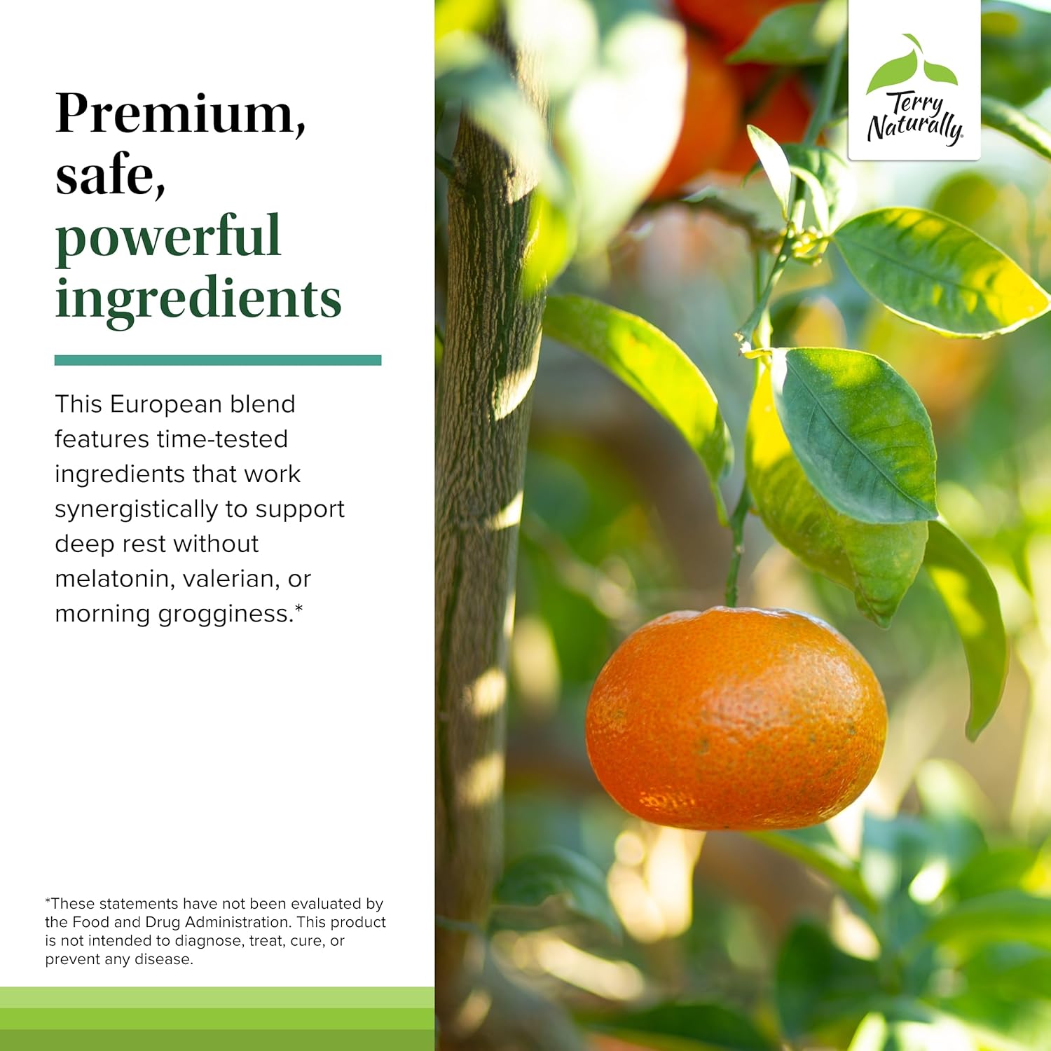 Terry Naturally Terrific Zzzz - Adult Sleep Supplement with Mandarin, Lemon Balm & Lavender - Non-GMO Relaxation Aid - 60 Softgels