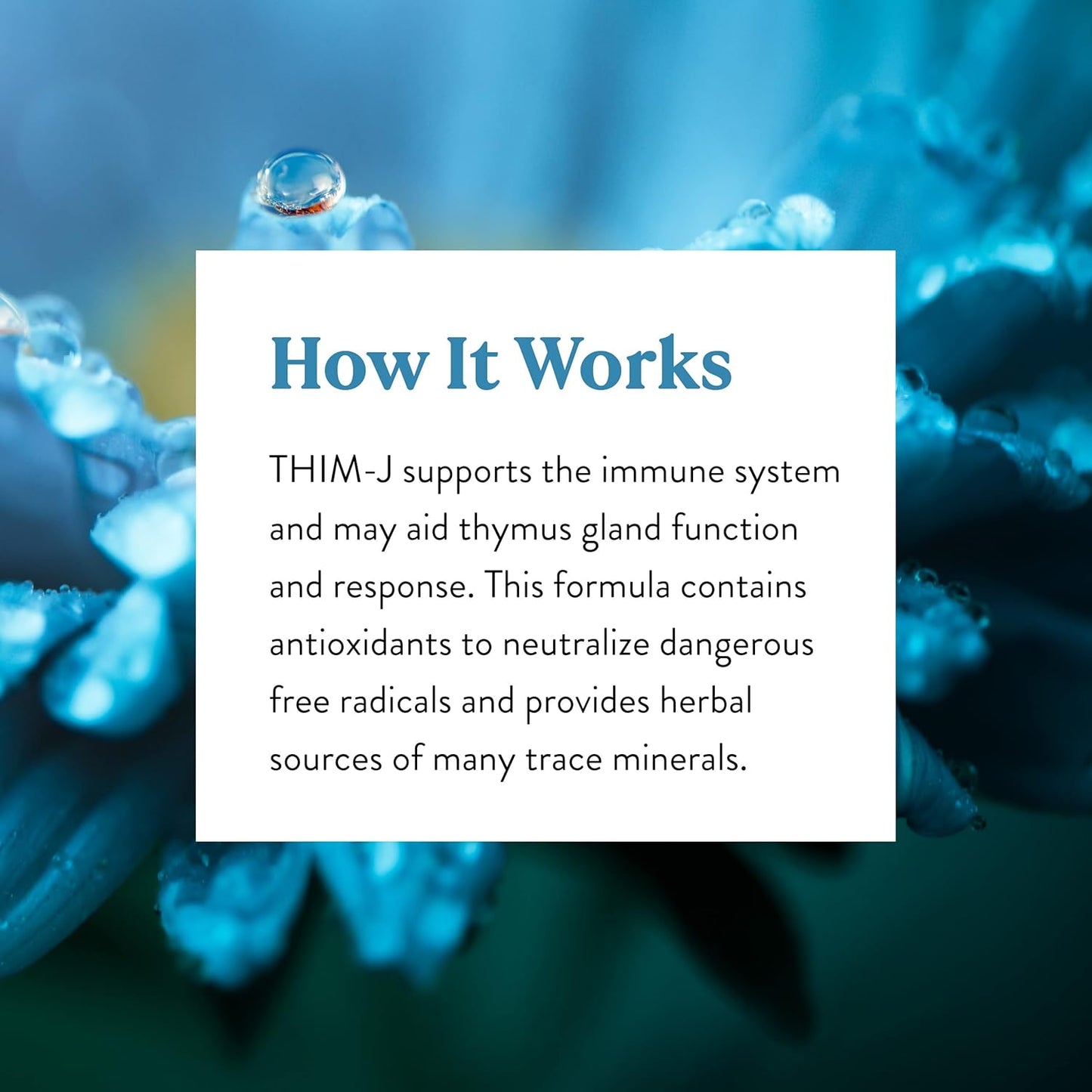 Thim-J Capsules - Natural Support for Wellness and Health