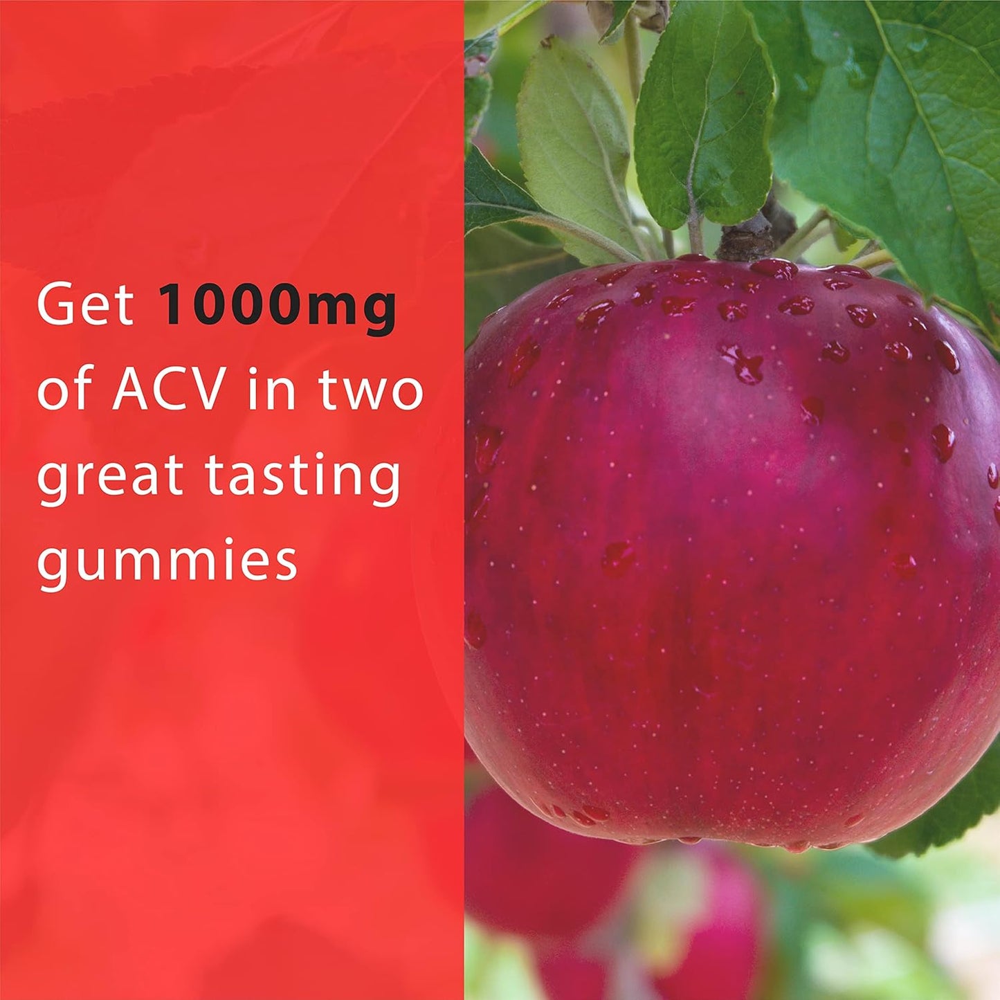 Thomas' All-Natural Apple Cider Vinegar Gummies with Beet Root, Pomegranate, B9 & B12 Vitamins - 1000mg ACV Gummies - Gelatin-Free, Gluten-Free, Vegan & Non-GMO - 60 Count