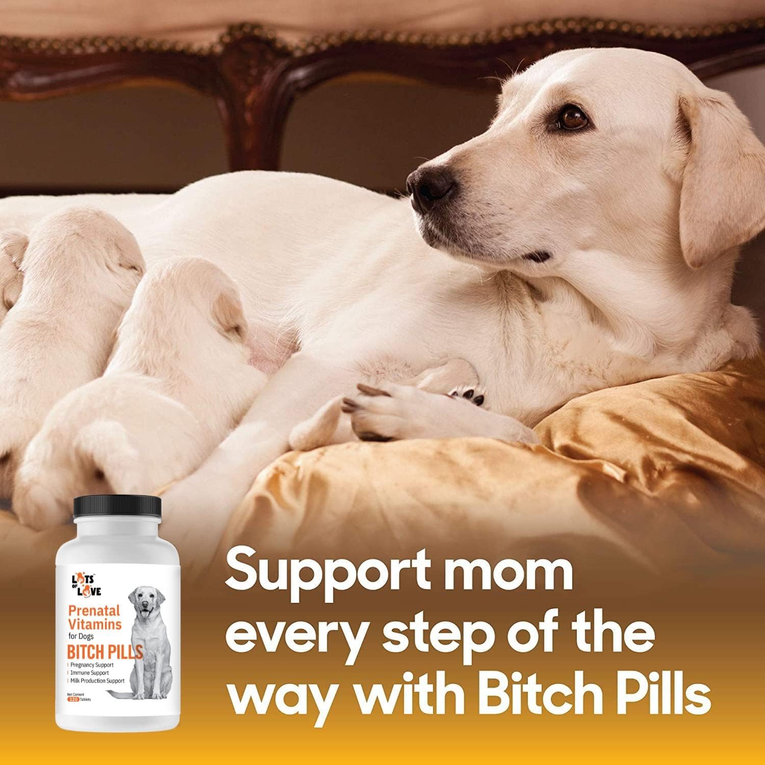 Thomas Pet Earlier Bitch Pills Dog Prenatal Vitamins 120 Tablets