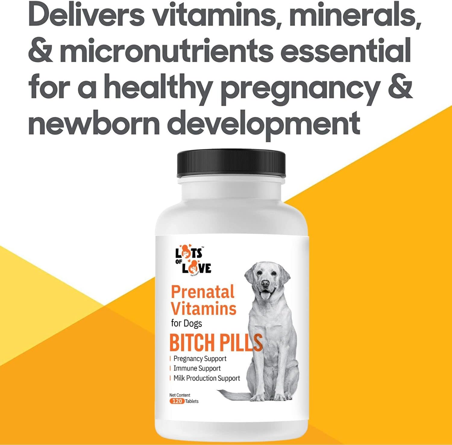Thomas Pet Earlier Bitch Pills Dog Prenatal Vitamins 120 Tablets