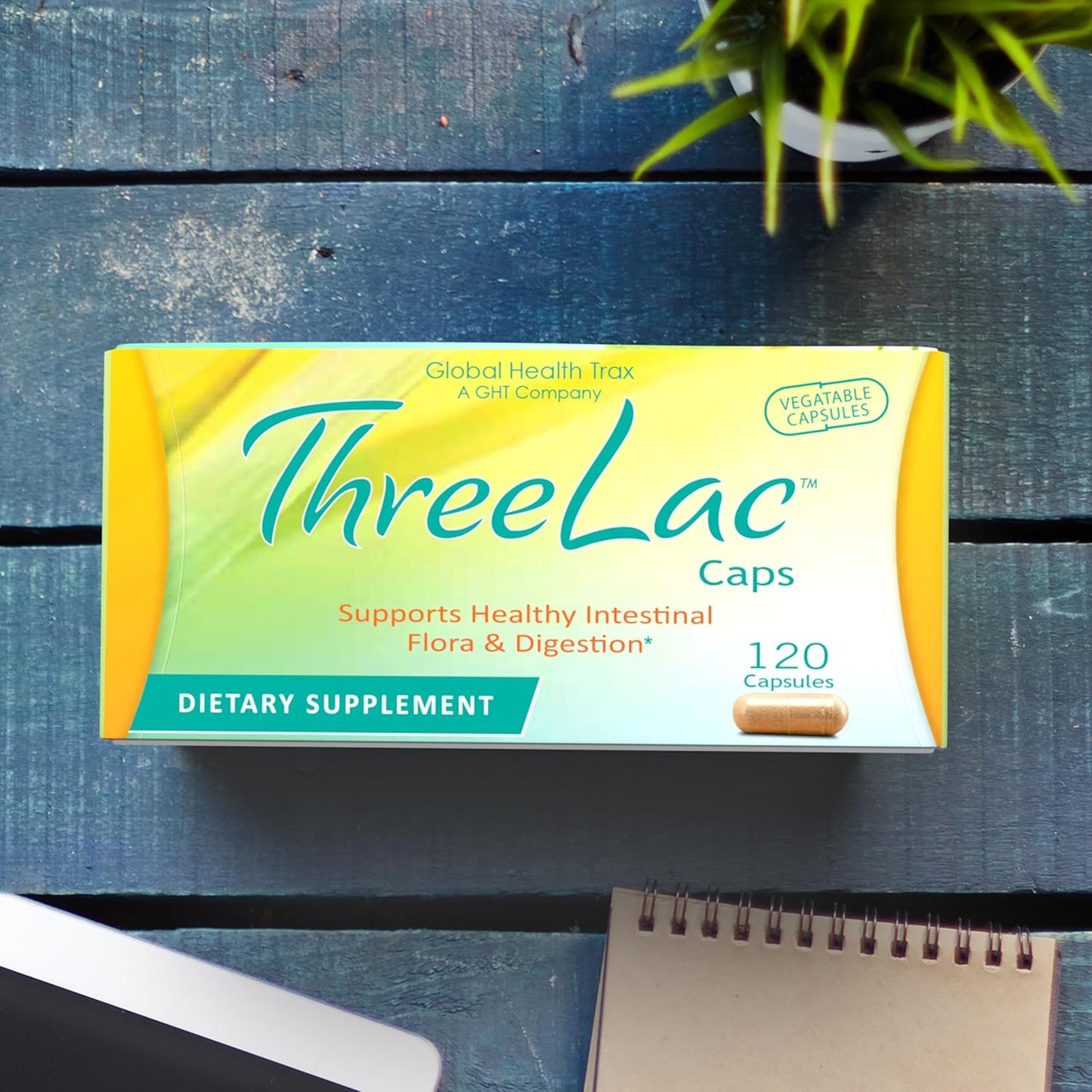 ThreeLac Probiotic Capsules - 240 Ct - Comprehensive Digestive Support for Men, Women, and Children - Immune System and Gut Balance - Non-GMO
