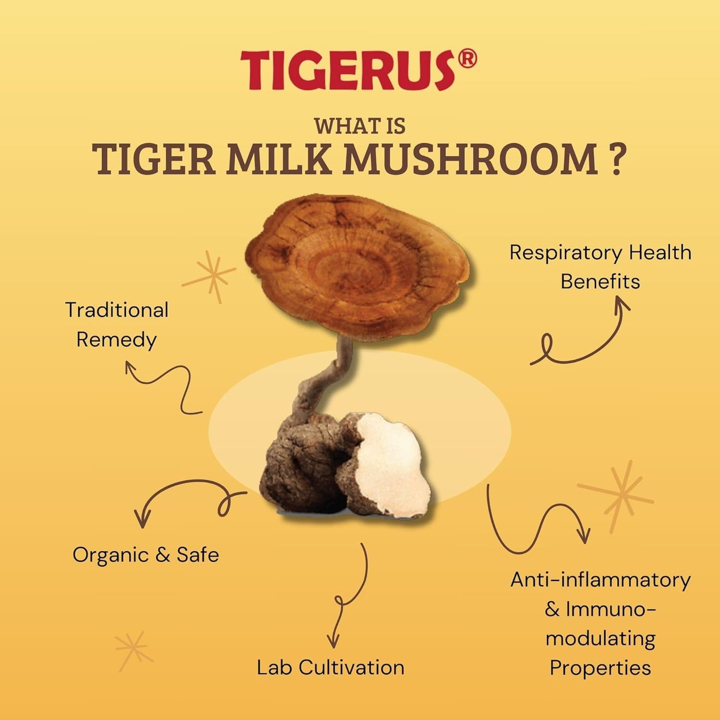 TIGERUS® Holla Tiger Milk Mushroom with Passion Fruit and Inulin - Immune Support, Digestive Health, Antioxidant Boost - 30 Sachets for Natural Wellness