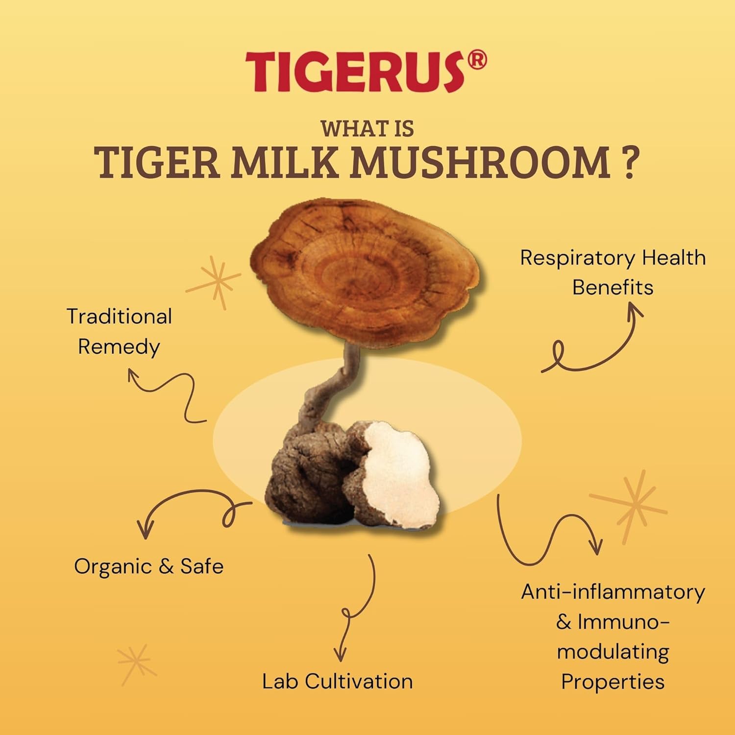 TIGERUS® Holla Tiger Milk Mushroom with Passion Fruit and Inulin - Immune Support, Digestive Health, Antioxidant Boost - 30 Sachets for Natural Wellness