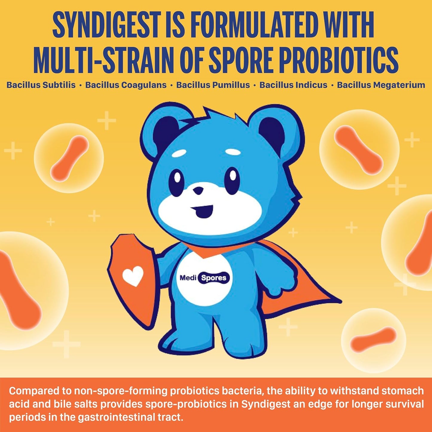 TMA Medispores Gut Health Supplement with 5 Probiotic & Prebiotic Strains - Digestive & Immune Support for Adults & Kids - Non-GMO, Gluten-Free - 60 Pills (2 Billion CFU)