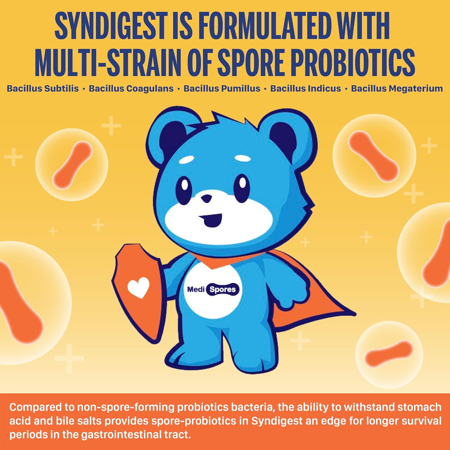 TMA Medispores Gut Health Supplement with 5 Probiotic & Prebiotic Strains - Digestive & Immune Support for Adults & Kids - Non-GMO, Gluten-Free - 60 Pills (2 Billion CFU)