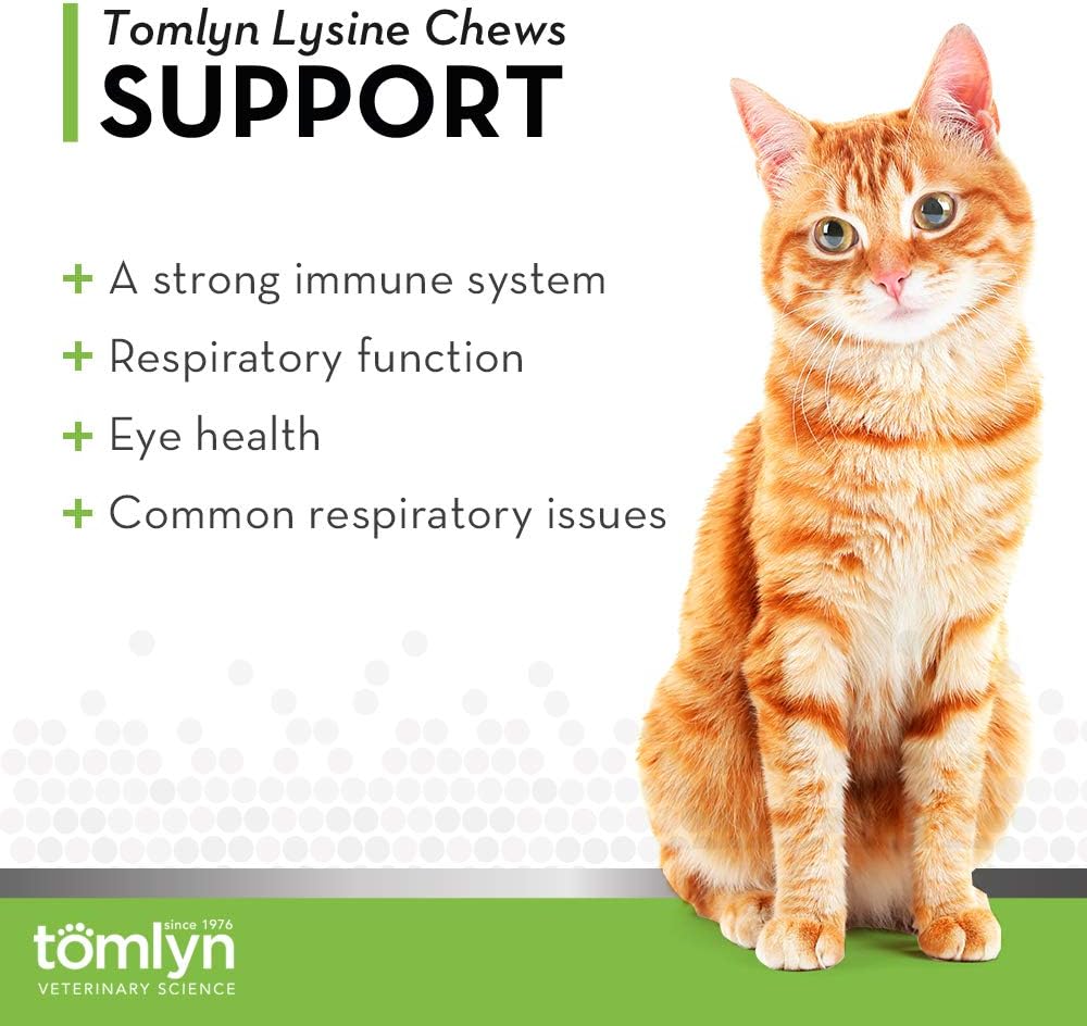Tomlyn Immune Support L-Lysine Nutritional Supplement 2.65oz - 3 Pack