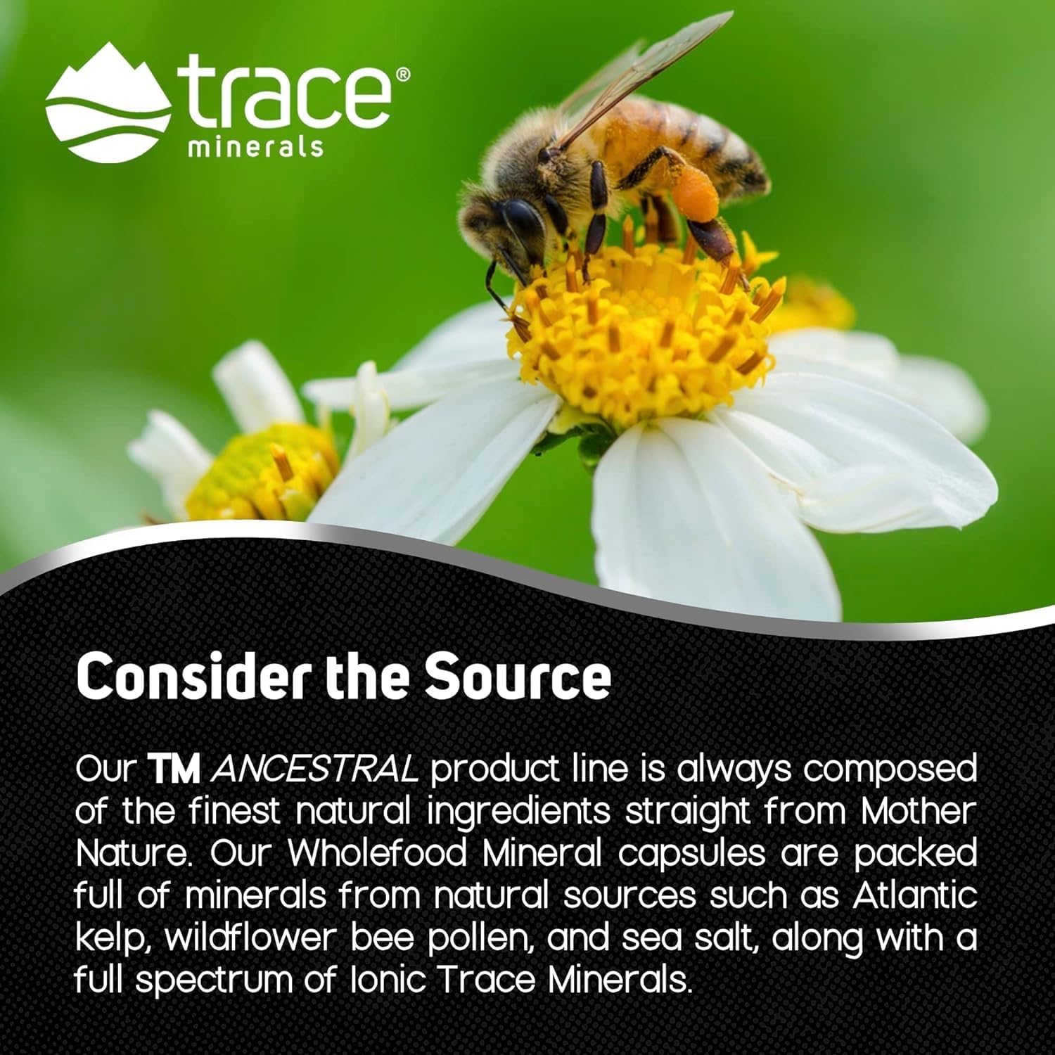 Trace Minerals Wholefood Supplement for Body & Brain Health - Wildflower Bee Pollen & Atlantic Kelp - Supports Nerve Function & Digestive Health - 180 Capsules