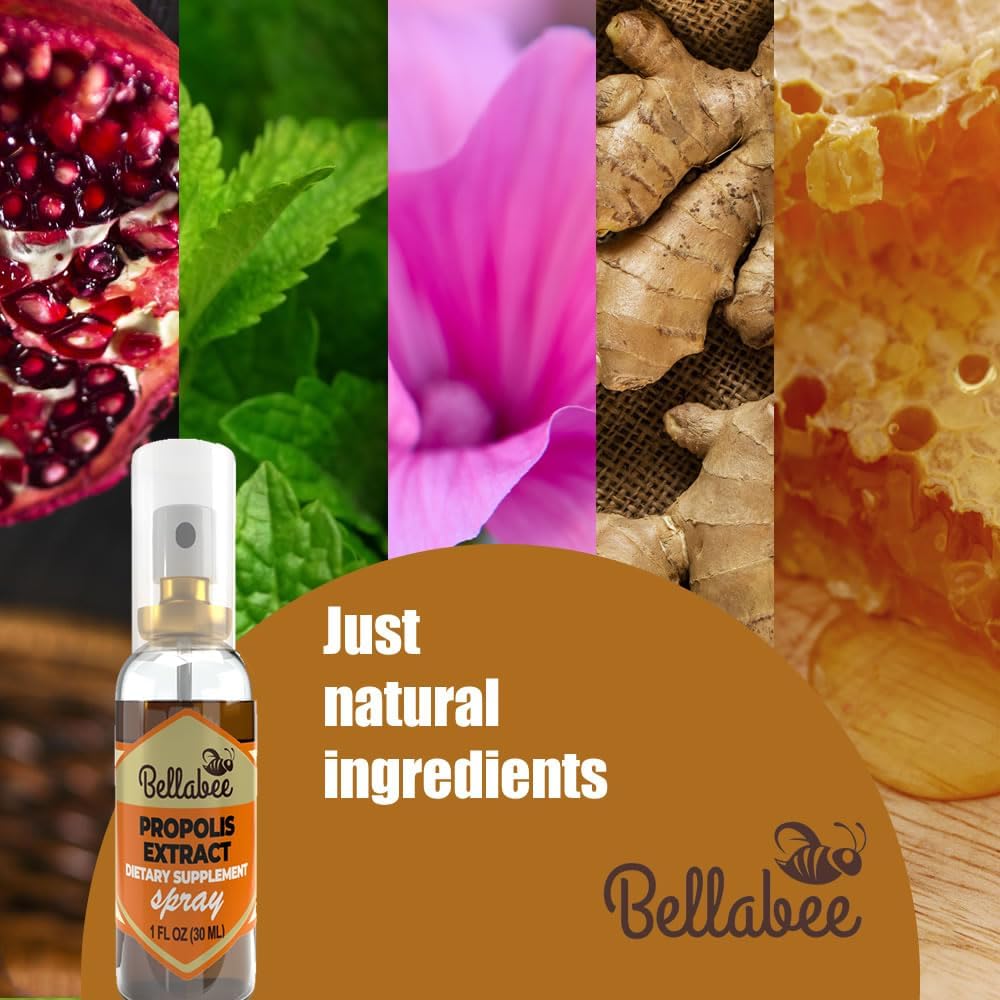 Traditional BellaBee Propolis Extract Supplement for Overall Wellness and Immune Support