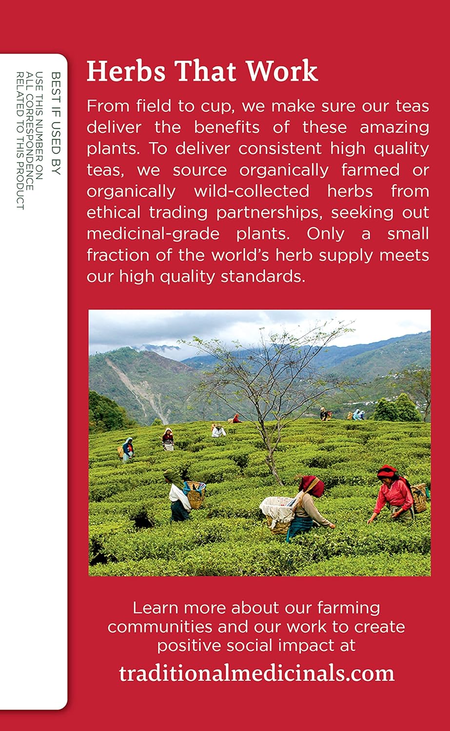 Traditional Medicinals Organic Echinacea Plus Herbal Tea with Spearmint, Supports Immune System, 16 Tea Bags