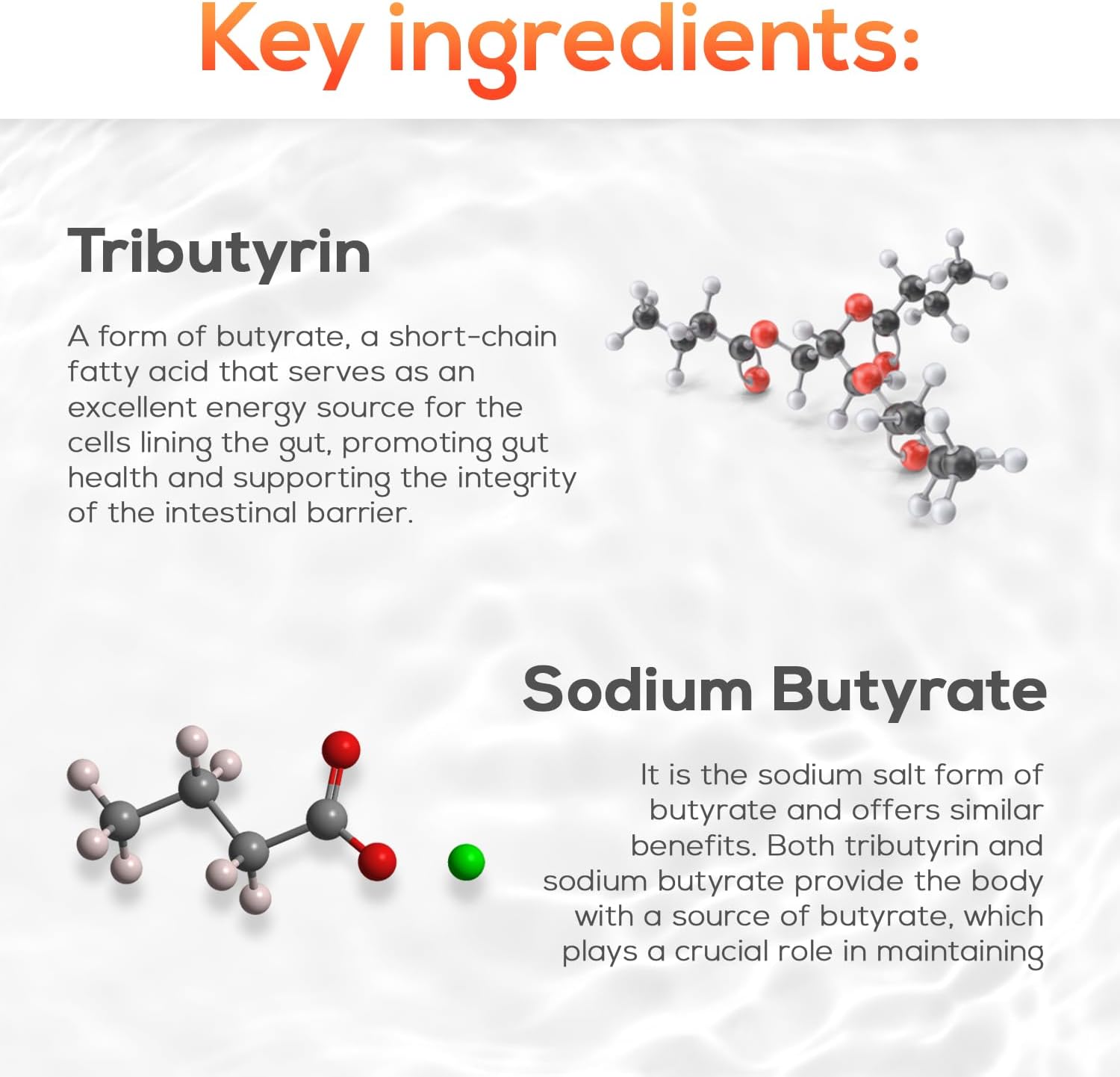 Tributyrin Complete Butyrate Supplement (550mg) for Digestive Health - Immune & Gut Support with Probiotics for Men & Women