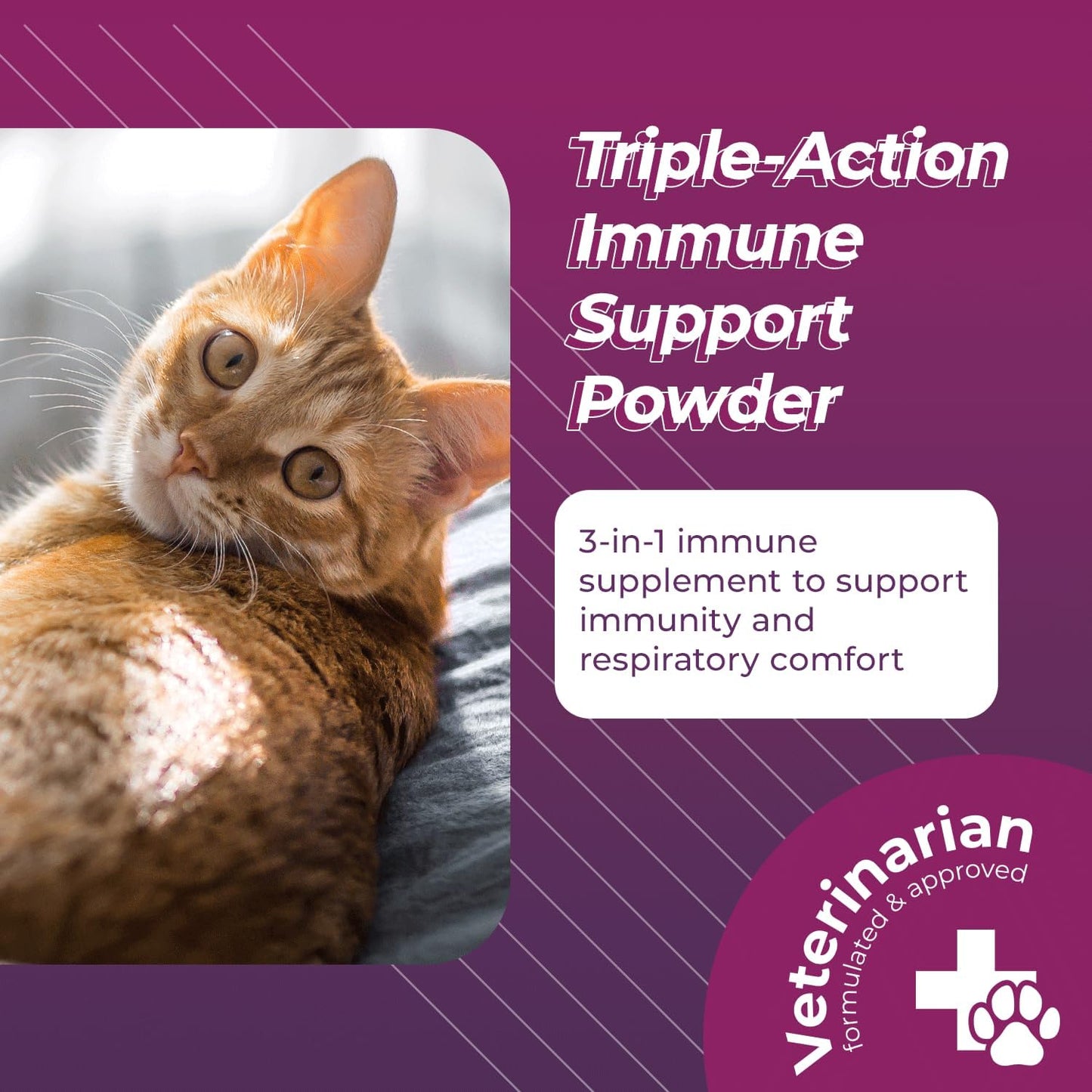 Triple Action Lysine Powder for Cats - Immune & Allergy Support with L-Lysine and DMG