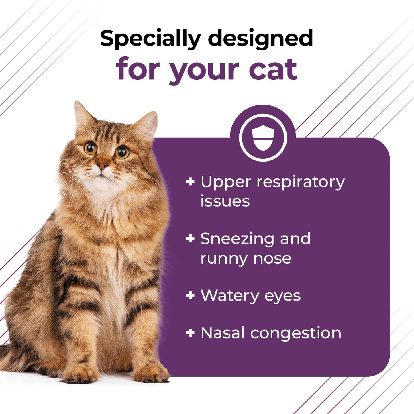 Triple Action Lysine Powder for Cats - Immune & Allergy Support with L-Lysine and DMG