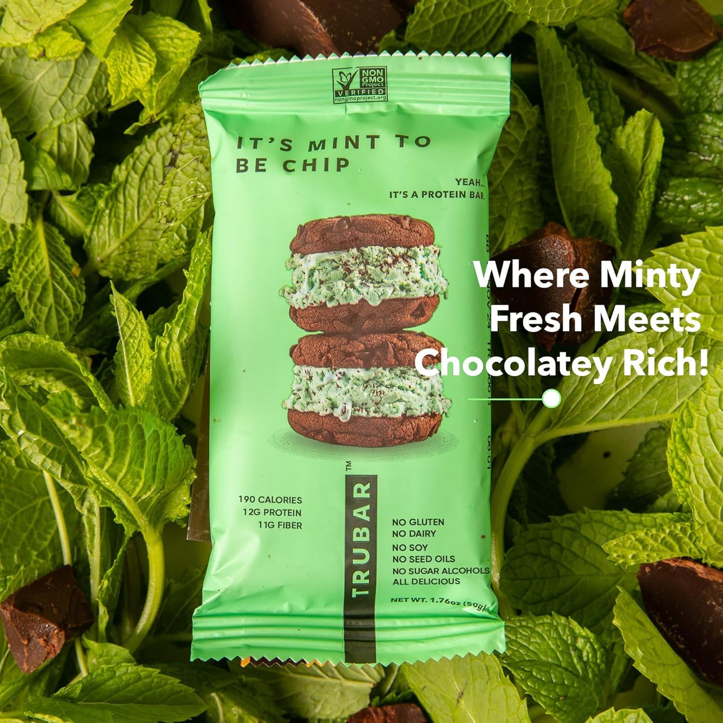 TRUBAR Mint Chip Vegan Protein Bars - Gluten-Free, Plant-Based, High Fiber, Dairy-Free, Low Fat, Non-GMO, No Sugar Alcohols - 12 Pack