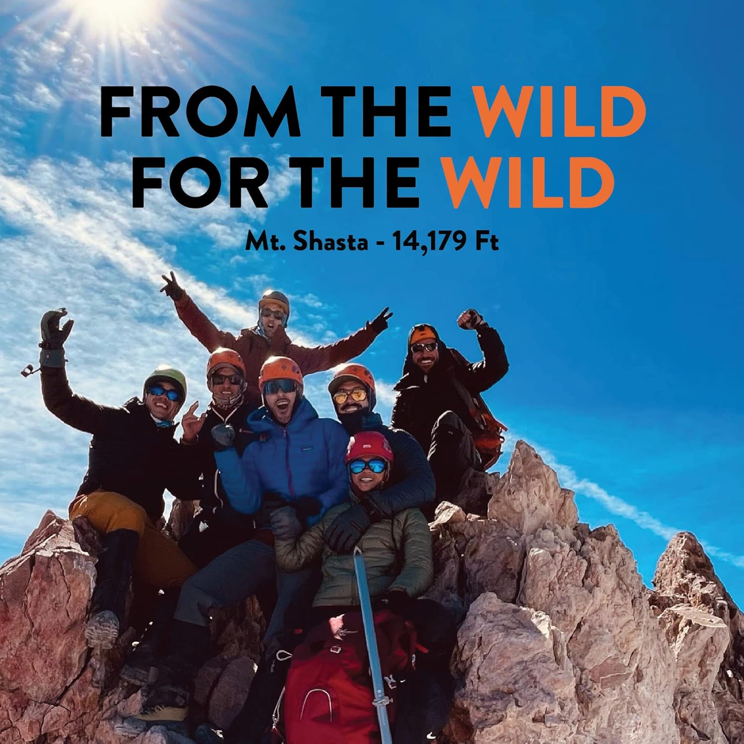 TruWild Protect+ Immune Support Capsules - Vegan Antioxidant Supplement with Vitamin C, Zinc, Magnesium, Resveratrol, Acai - Non GMO & Gluten Free - Made in USA - 30 Servings