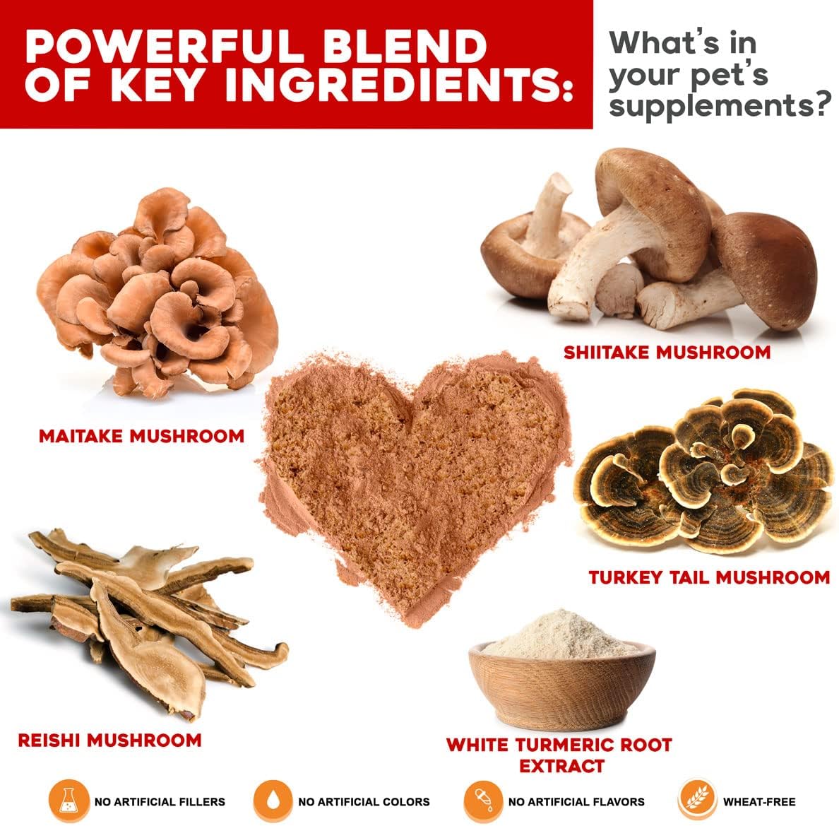 Turkey Tail Mushroom and Probiotic Bundle for Dog Immune Support