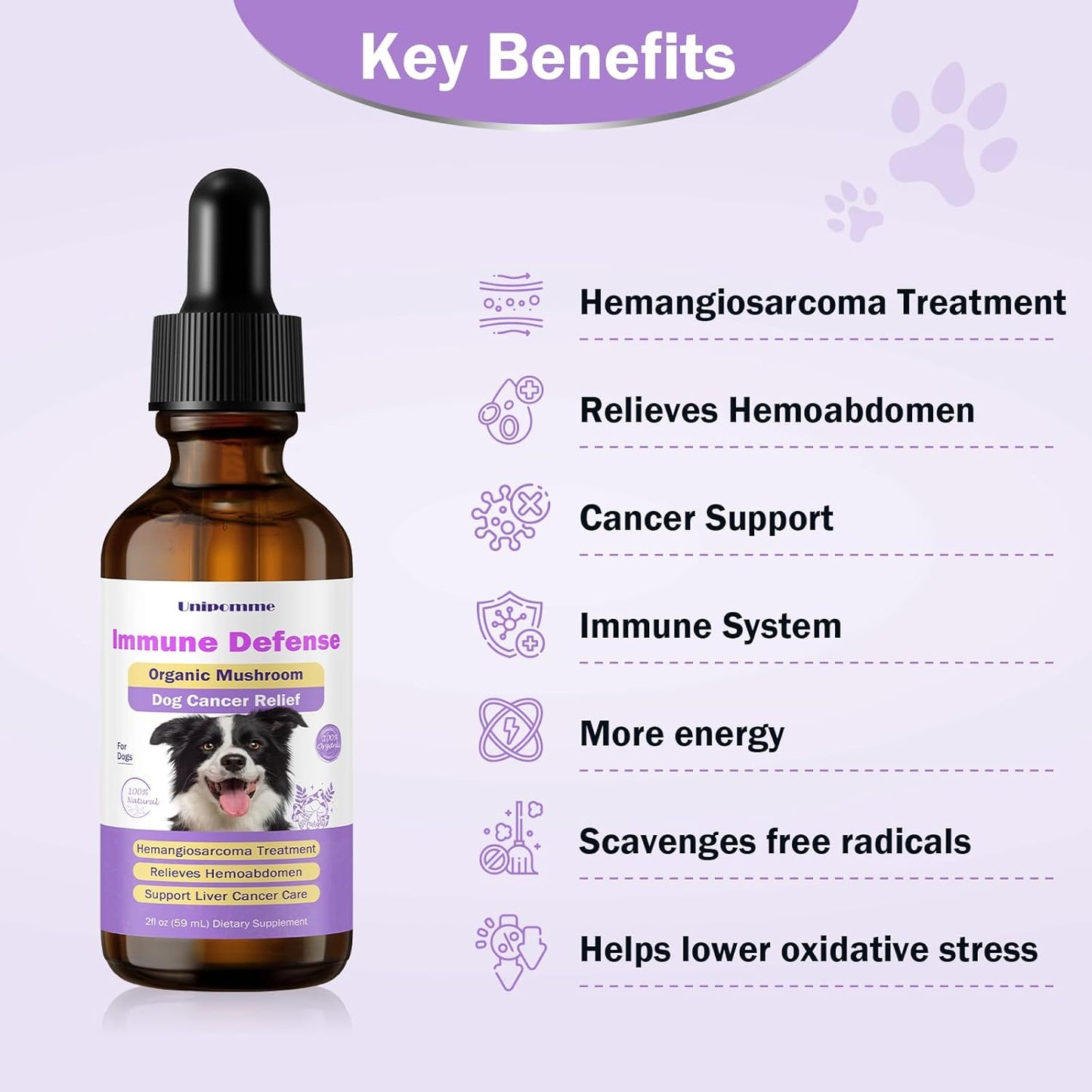 Turkey Tail Mushroom Drops for Dogs with Cancer - Herbal Supplement for Immune Support - Pet Guard Defense - 2 oz