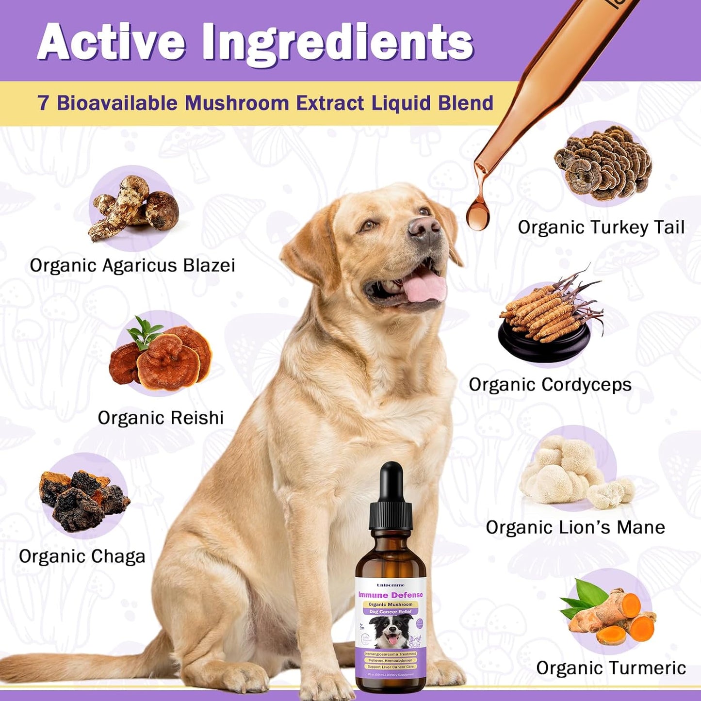 Turkey Tail Mushroom Drops for Dogs with Cancer - Herbal Supplement for Immune Support - Pet Guard Defense - 2 oz