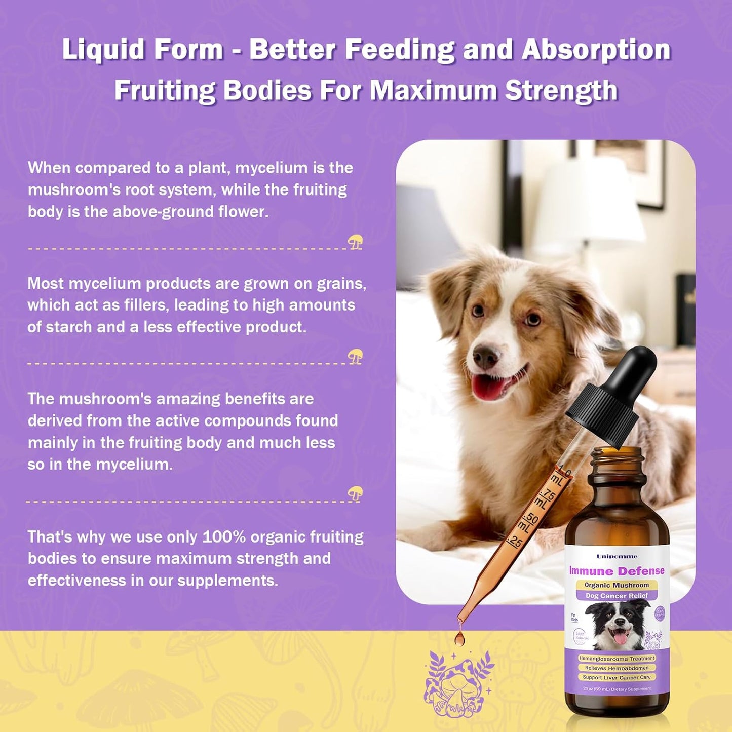 Turkey Tail Mushroom Drops for Dogs with Cancer - Herbal Supplement for Immune Support - Pet Guard Defense - 2 oz