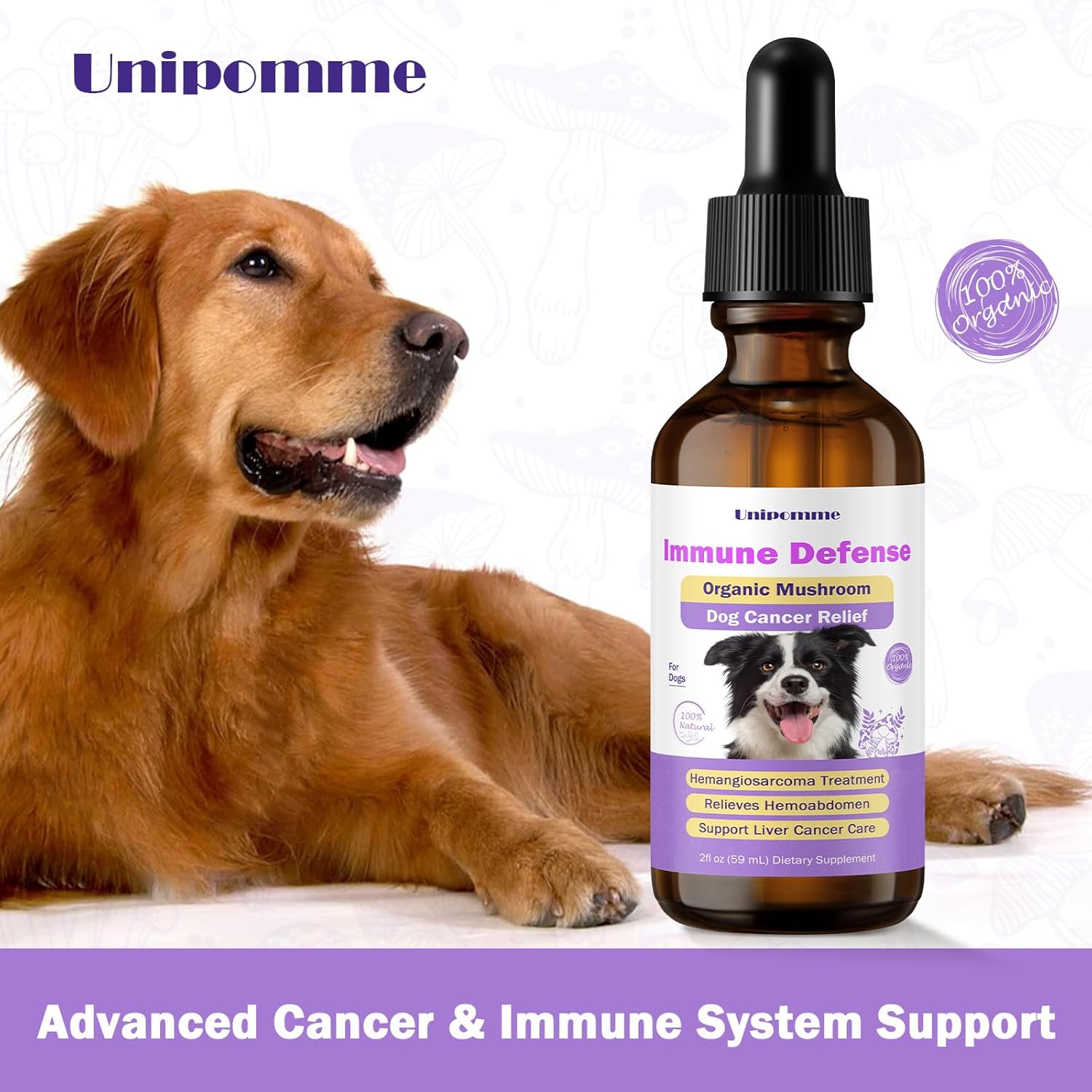 Turkey Tail Mushroom Drops for Dogs with Cancer - Herbal Supplement for Immune Support - Pet Guard Defense - 2 oz