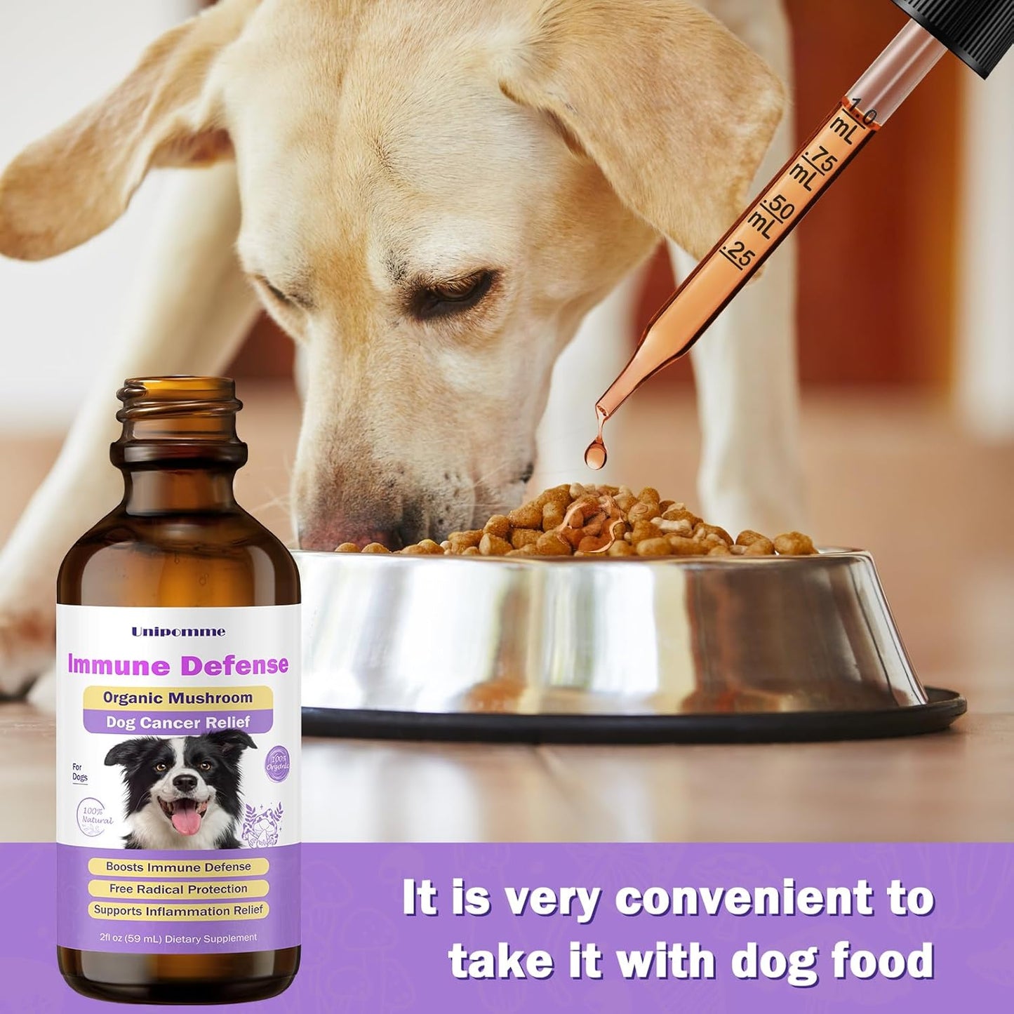 Turkey Tail Mushroom Drops for Dogs with Cancer - Herbal Supplement for Immune Support - Pet Guard Defense - 2 oz