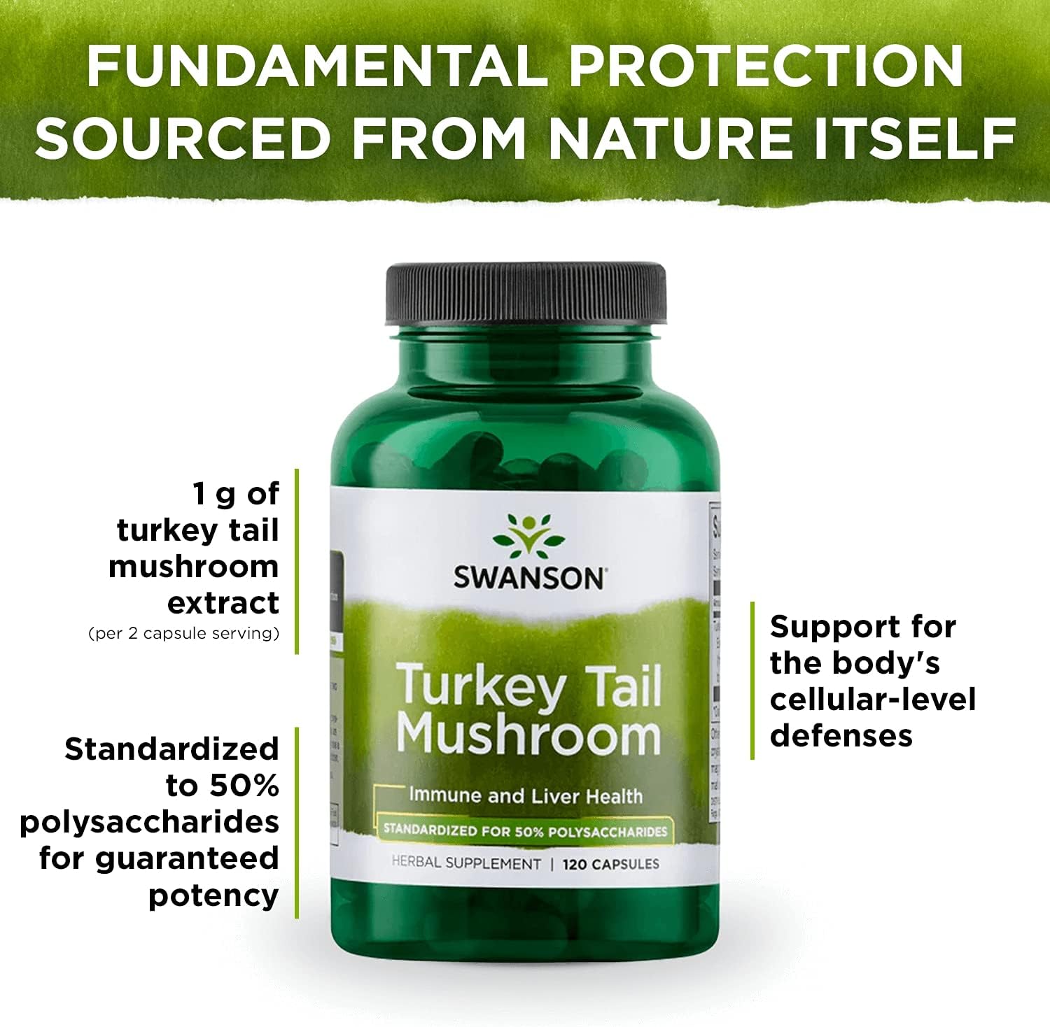 Turkey Tail Mushroom Herbal Supplement - Natural Formula (120 Capsules, 500mg) by Swanson