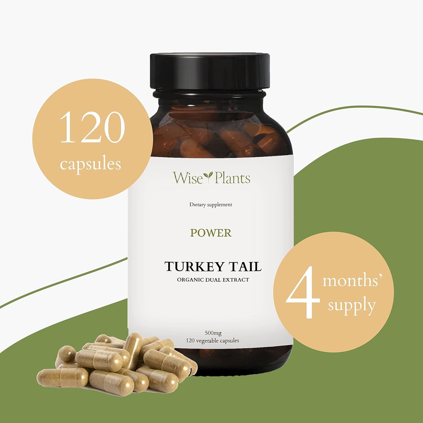 Turkey Tail Mushroom Supplement - Pure Fruiting Body Extract with 30% Polysaccharides - 500mg, 120 Vegecaps - Immune Function Support