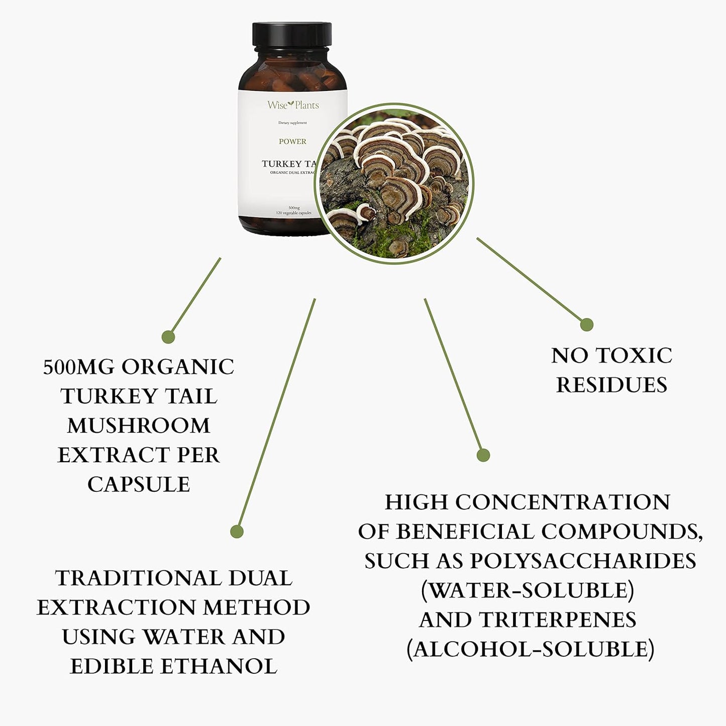 Turkey Tail Mushroom Supplement - Pure Fruiting Body Extract with 30% Polysaccharides - 500mg, 120 Vegecaps - Immune Function Support