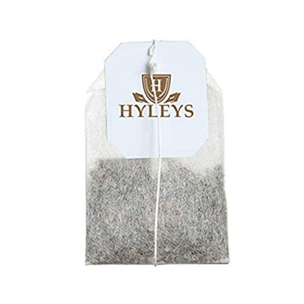 Turmeric Green Tea with Ginger and Lemon Flavor - 150 Tea Bags (6 Pack) by Hyleys