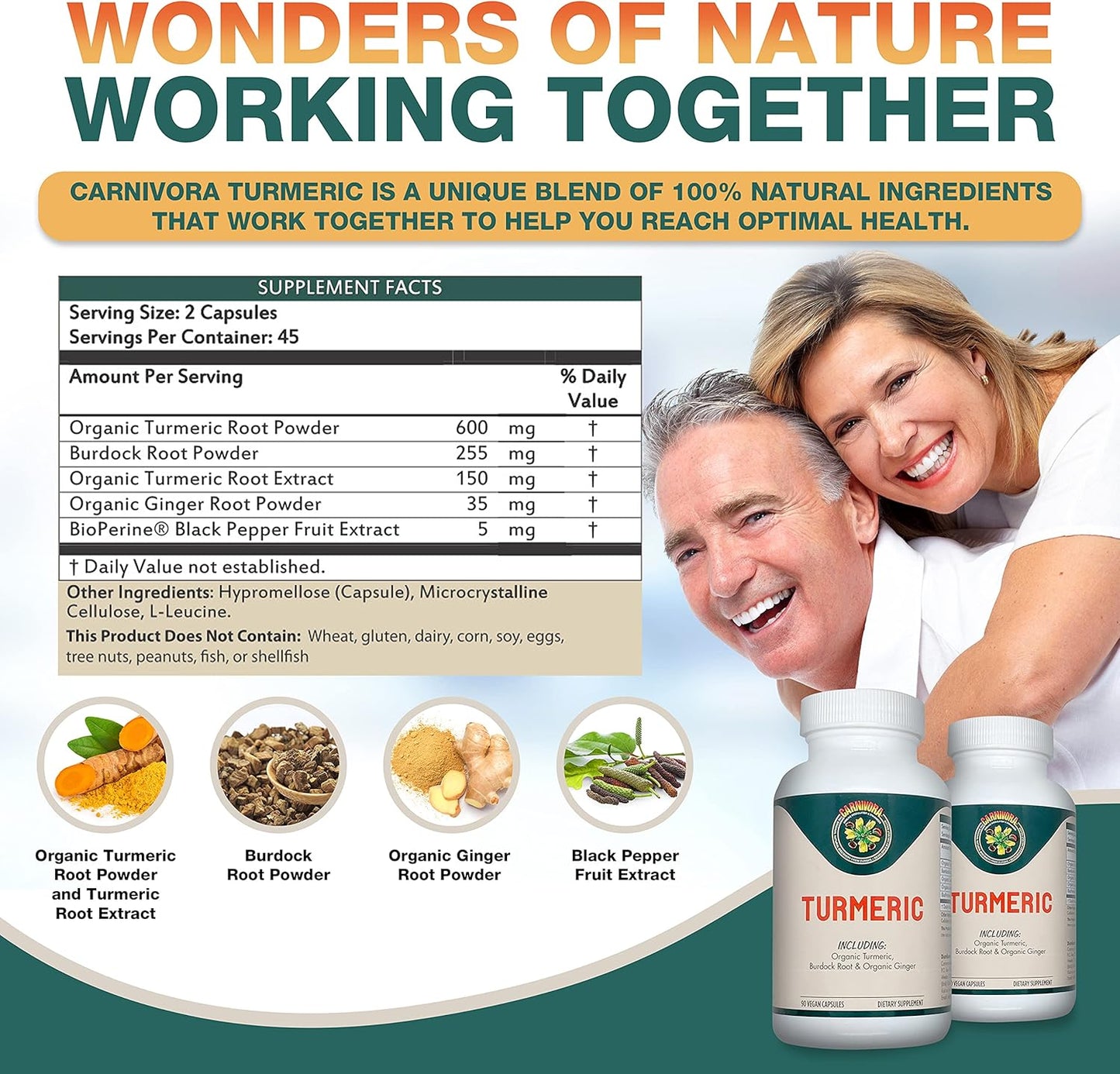 Turmeric Supplement for Joint and Digestive Health - Vegan Capsules with Antioxidant Properties and Inflammatory Support