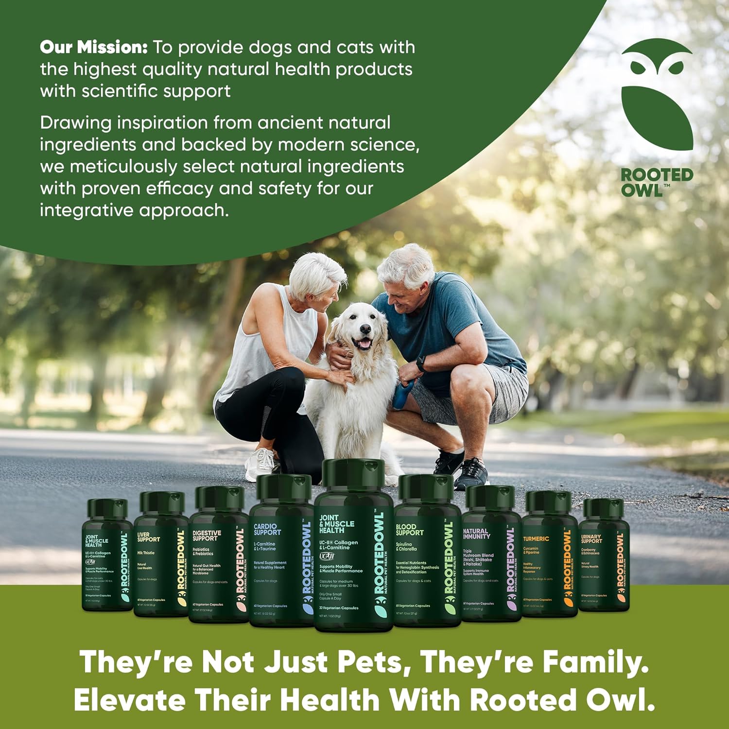 Turmeric Supplement for Pets with Curcumin, Piperine, and Vitamin C - 60 Count Anti-Inflammatory Relief Owl Turmeric