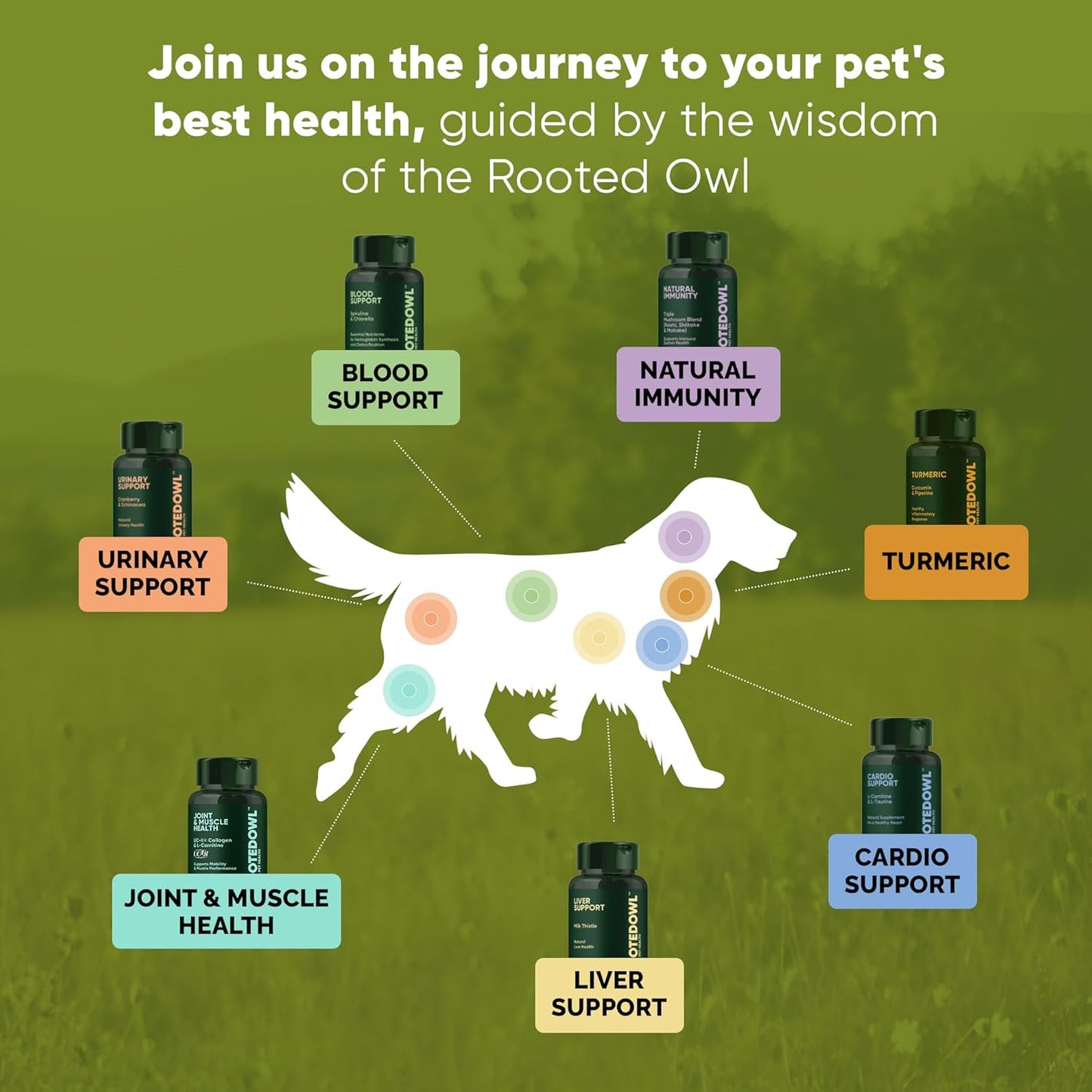 Turmeric Supplement for Pets with Curcumin, Piperine, and Vitamin C - 60 Count Anti-Inflammatory Relief Owl Turmeric
