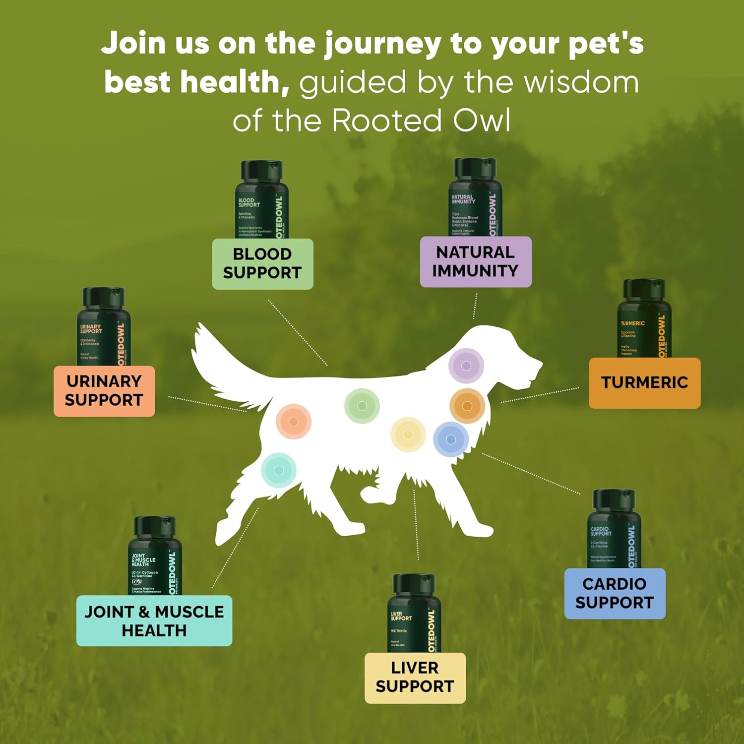 Turmeric Supplement for Pets with Curcumin, Piperine, and Vitamin C - 60 Count Anti-Inflammatory Relief Owl Turmeric