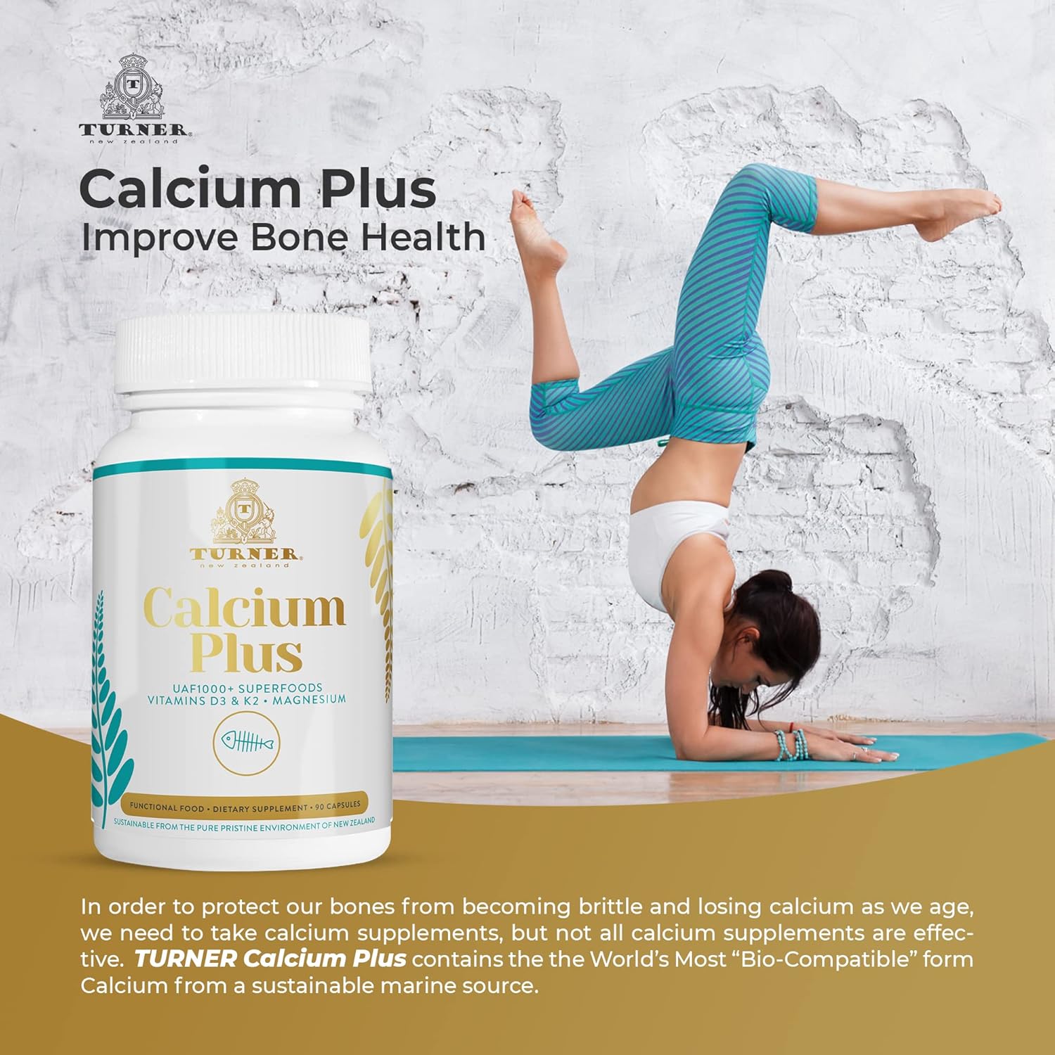 TURNER Calcium Plus with UAF1000+ Super Antioxidant - Natural Marine Supplement for Bone & Joint Health - 6 Bottles, 540 Capsules